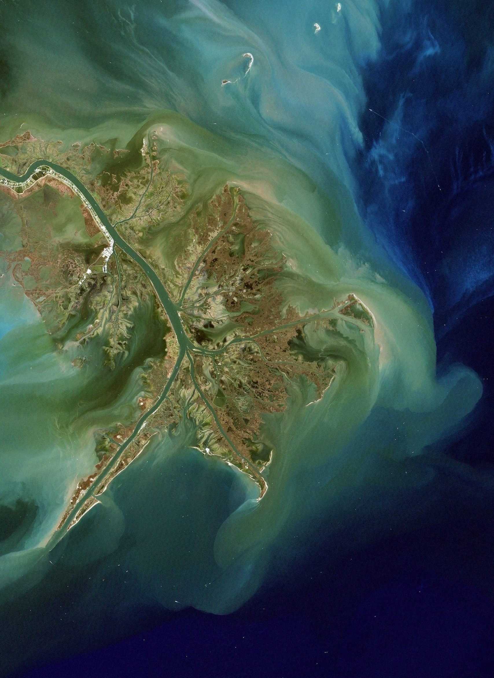Satellite image of algal bloom