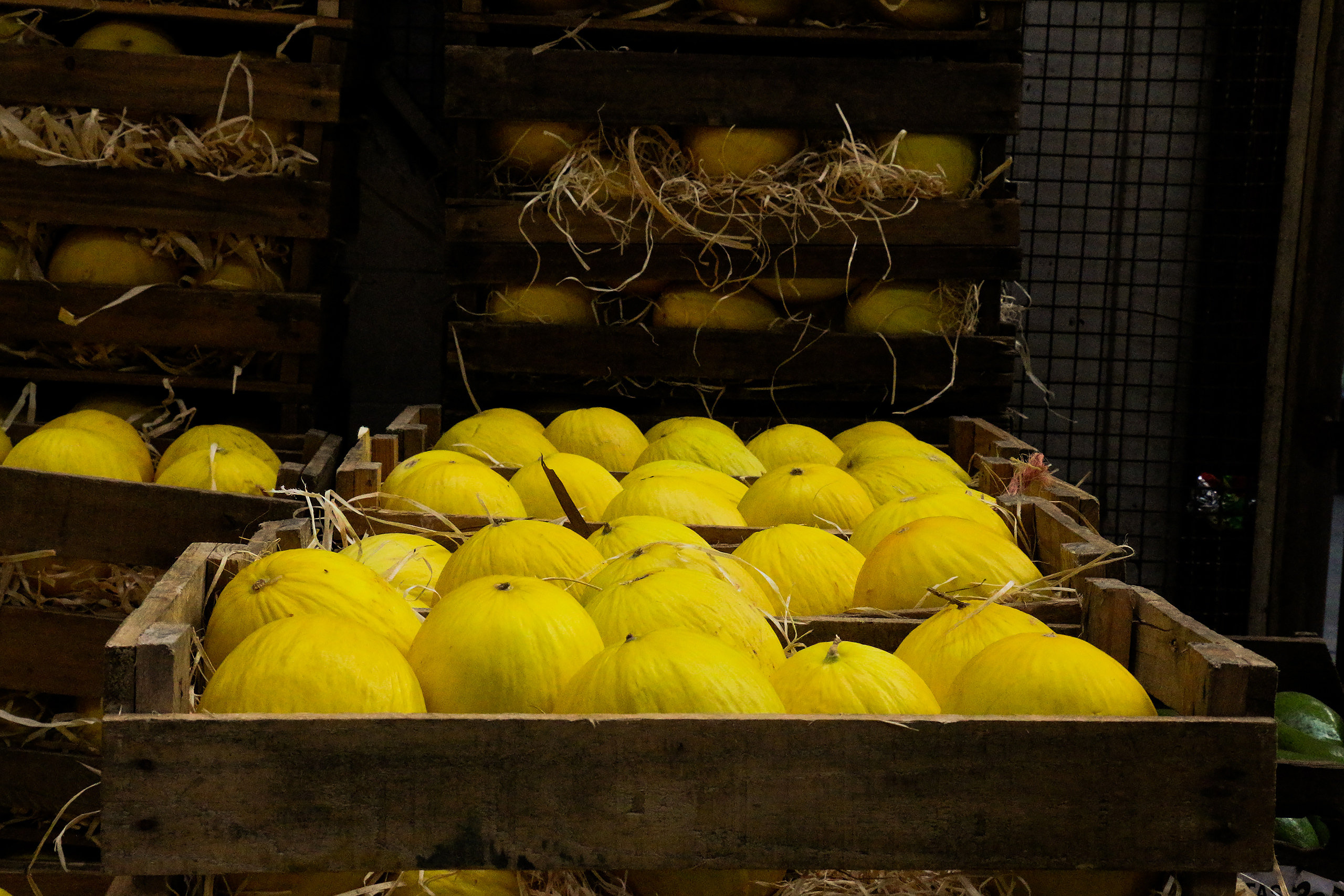 Middle-class consumers in the Chinese market present an exciting opportunity for Brazilian exporters, to add to their existing success in European and US markets (Image: Eduardo Maida / Flickr,  CC BY-NC)
