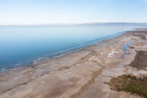 <p>Chemical pollution finds its way into the ocean in myriad ways, and its impacts are not well understood (Image: Scott London / Alamy)</p>