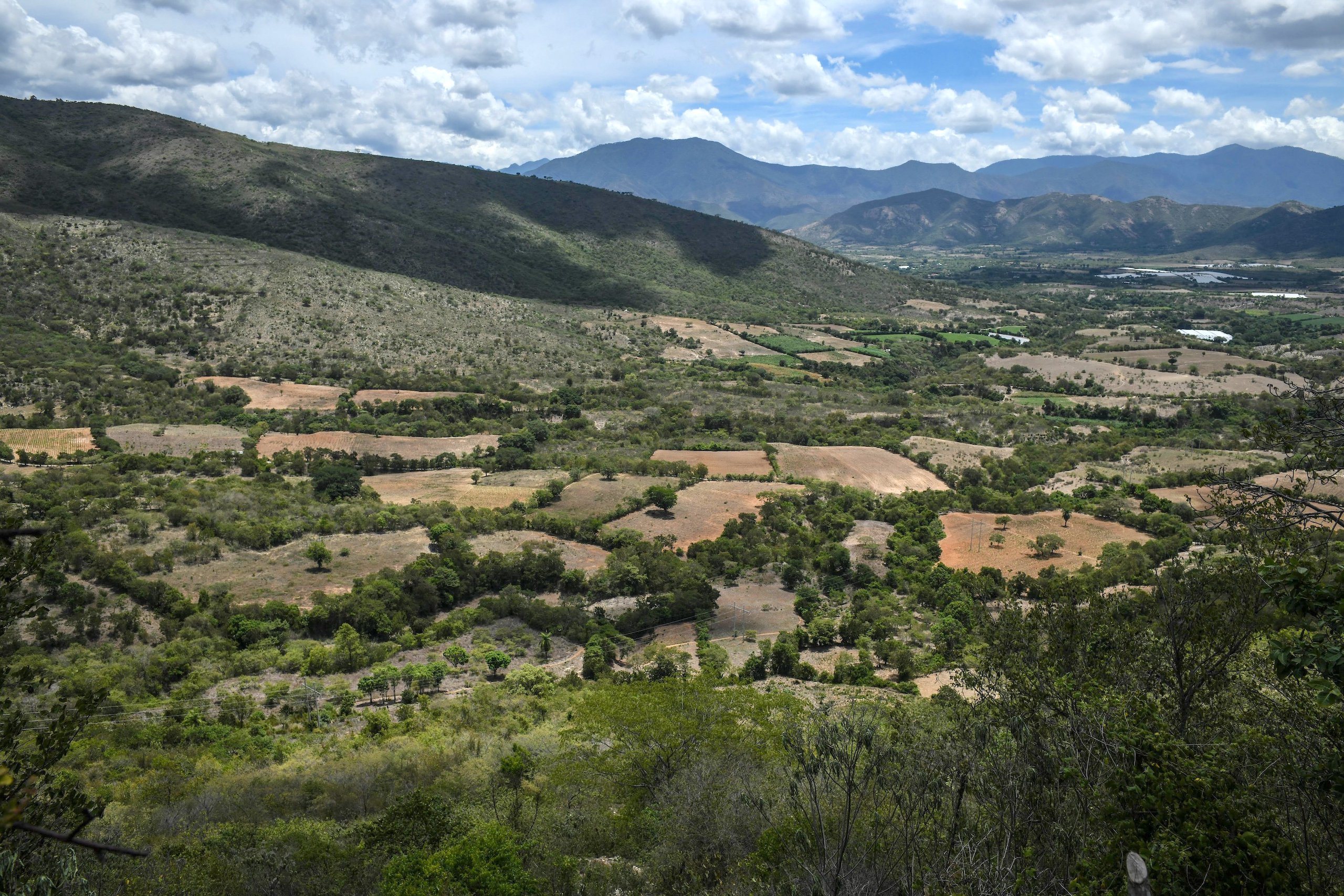 Abandoned plots and lost crops on dry land