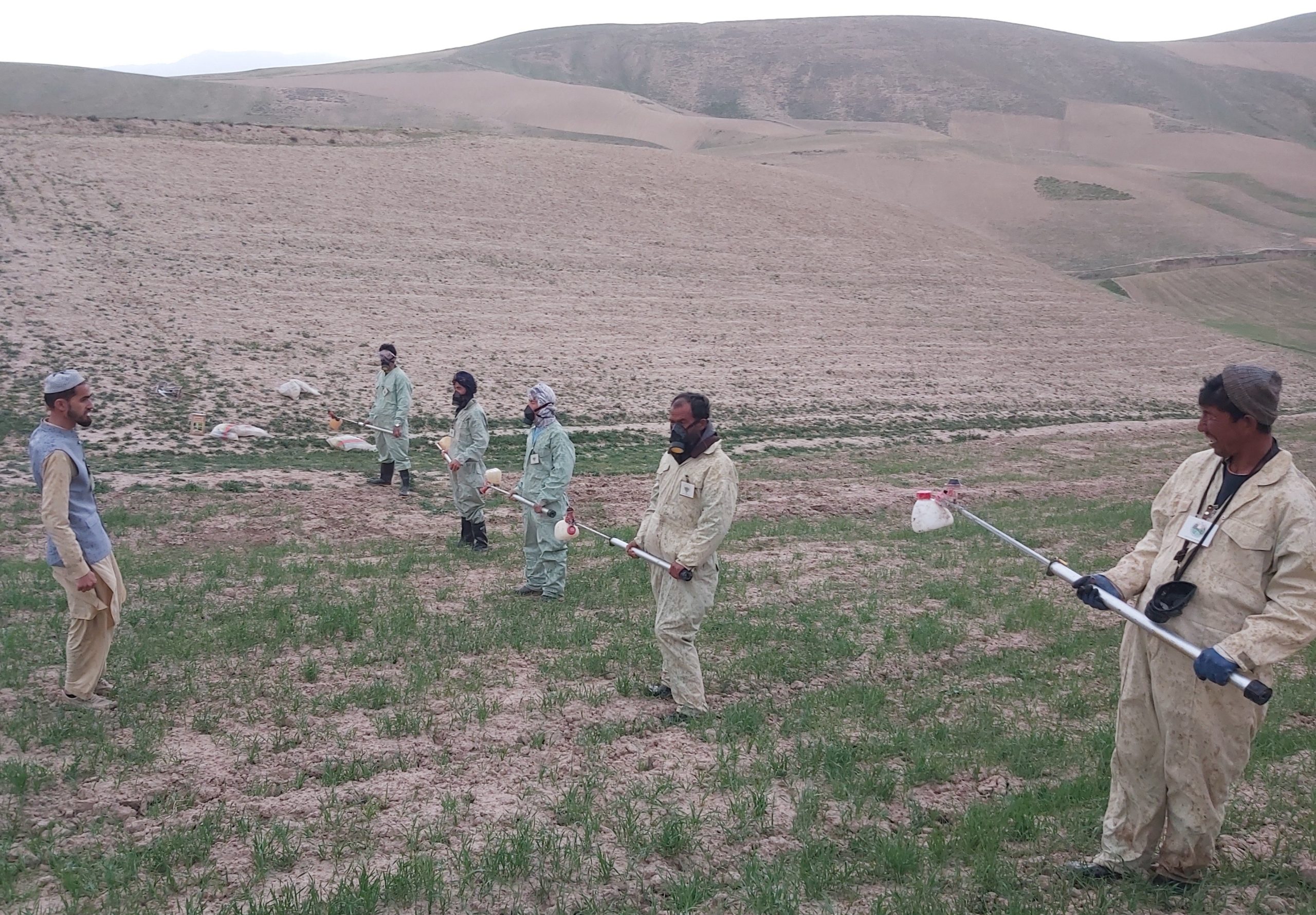 group of men preparing to spray insecticide 