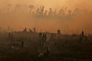 Silhouettes of tree stumps and deforested land against orange smoke from forest fires, rainforest faintly visible in background