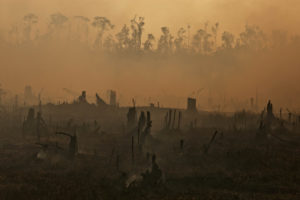 <p>Smouldering forest fires on peatlands cleared for oil palm, Sumatra, Indonesia, 2013. Deforestation for new plantations is still the main way palm oil contributes to global heating. (Image © Ulet Ifansasti / Greenpeace)</p>