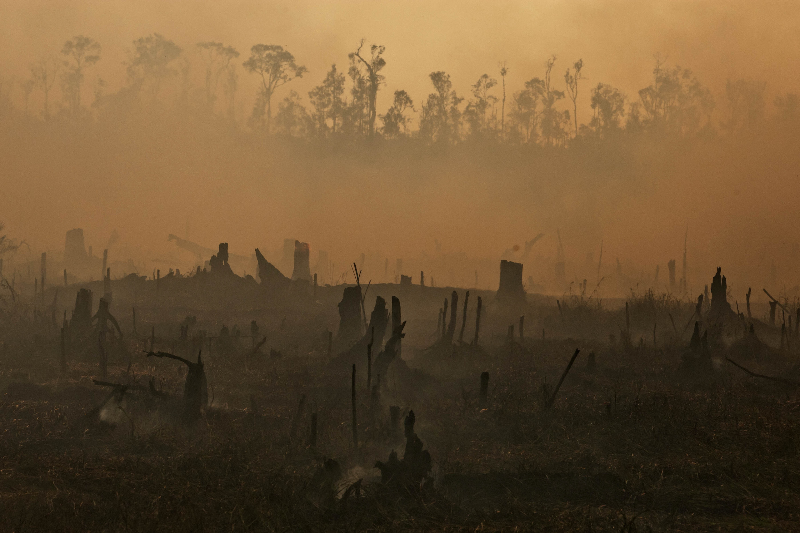 <p>2013年，印度尼西亚苏门答腊岛，人们点燃泥炭地为种植油棕腾退空间，枯枝断木笼罩在氤氲的烟气之中。棕榈油产业导致全球变暖的主要方式是，通过毁坏森林来建设新的工业化种植园。(图片来源：©Ulet Ifansati/绿色和平组织)</p>