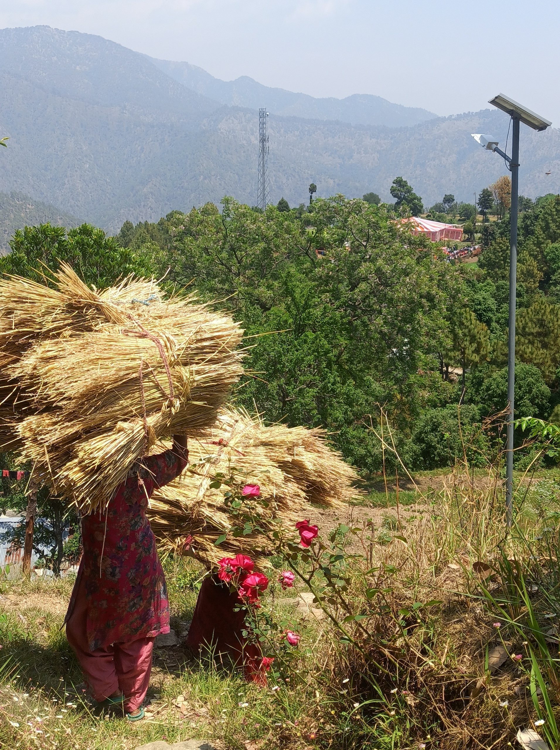 Prema Devi and Neema Devi walk home over difficult terrain. Like many Dalit families in Uttarakhand they live on the village outskirts, with scant facilities or infrastructure (Image: Swati Thapa)