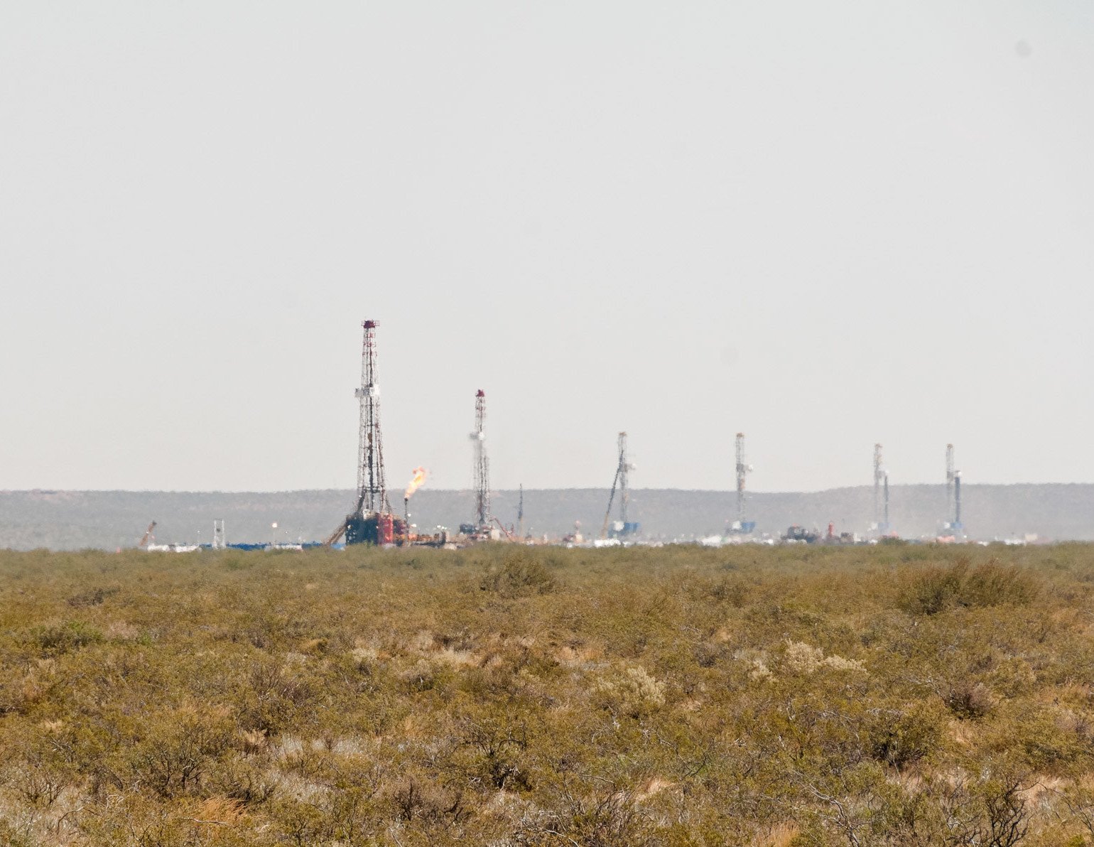 Campo de pastos verdes y amarillos frente a una hilera de perforadoras petrolíferas, en Vaca Muerta, Argentina.