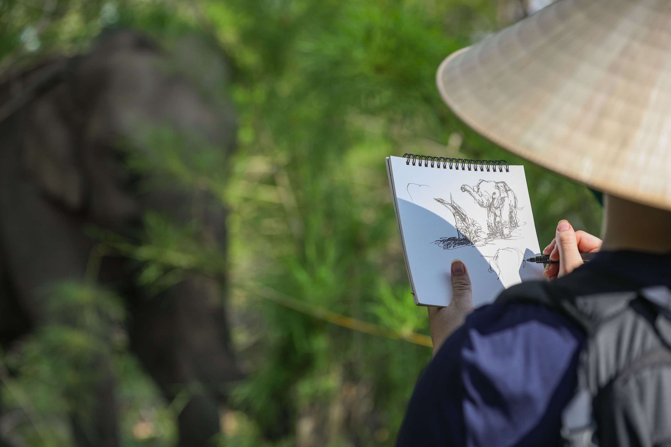 A tourist wearing a conical straw hat draws a rescued Asian elephant, visible in soft focus in the background