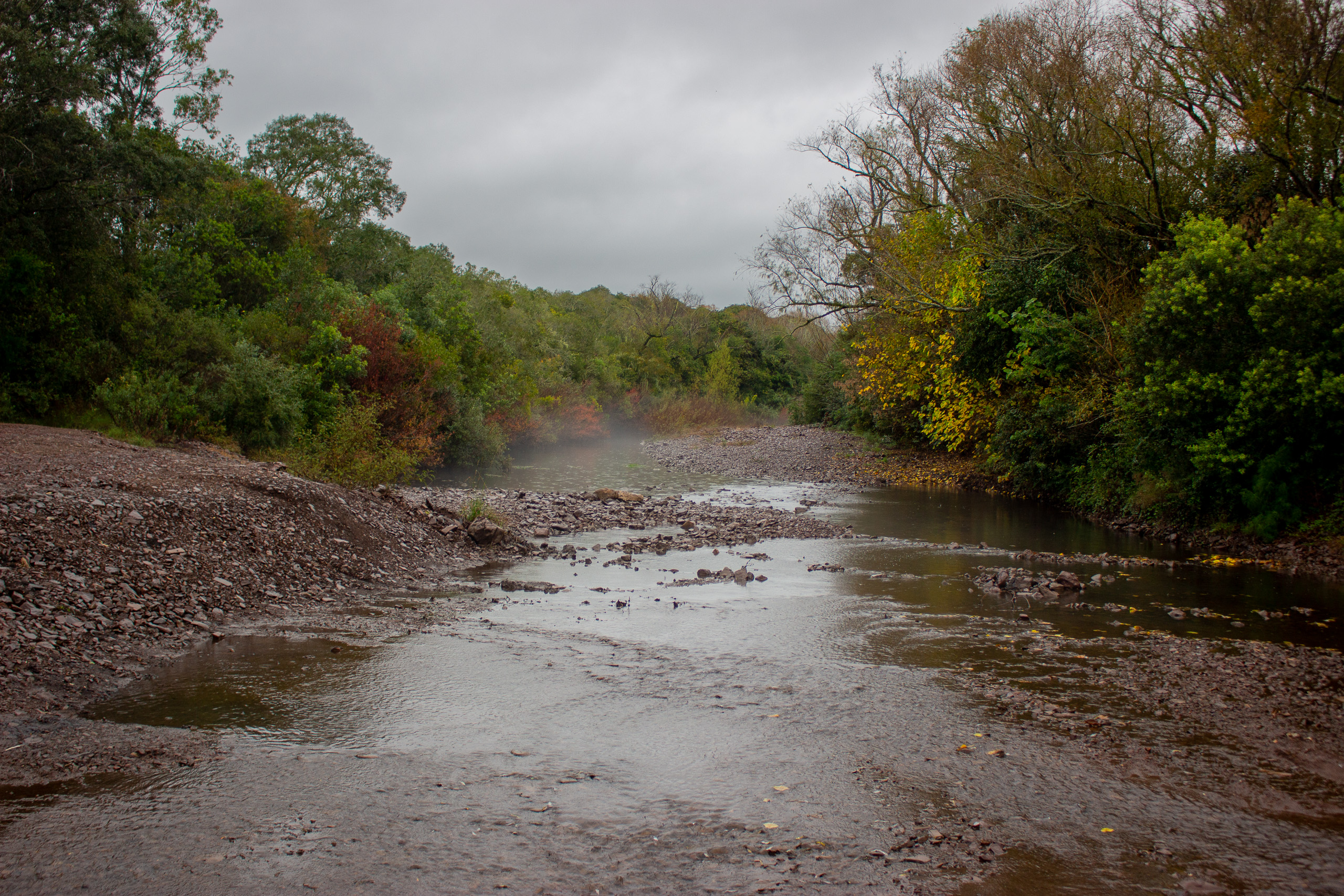 low level. stream in woods