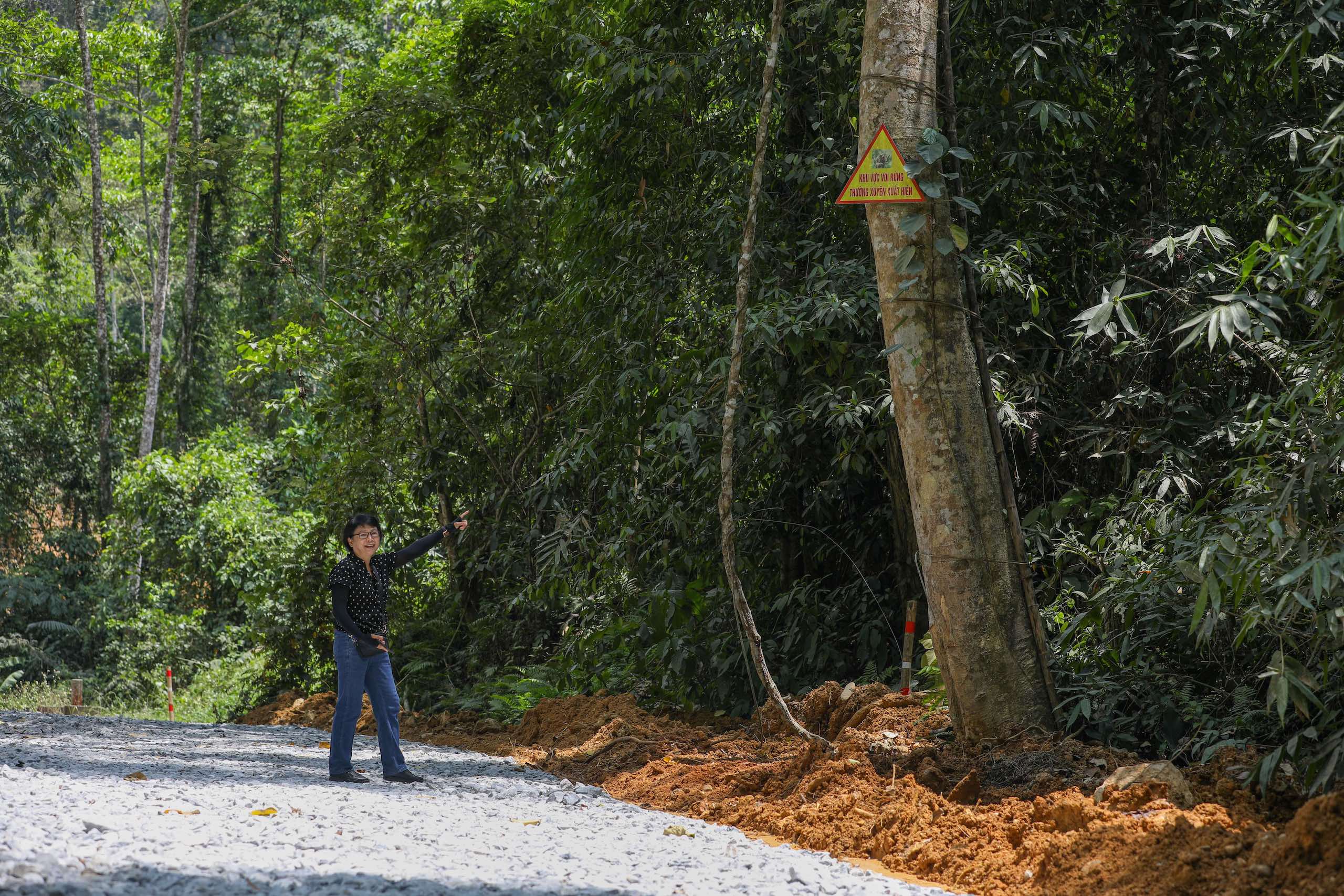 Woman standing on a road in a forest points at a small sign fixed to a tree