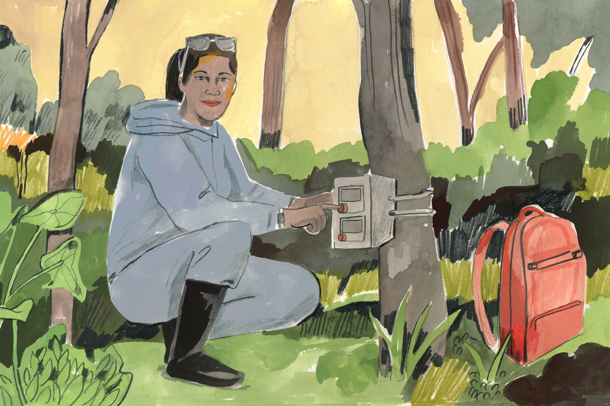 Illustration of a scientist doing research in a reforested area in Malaysia