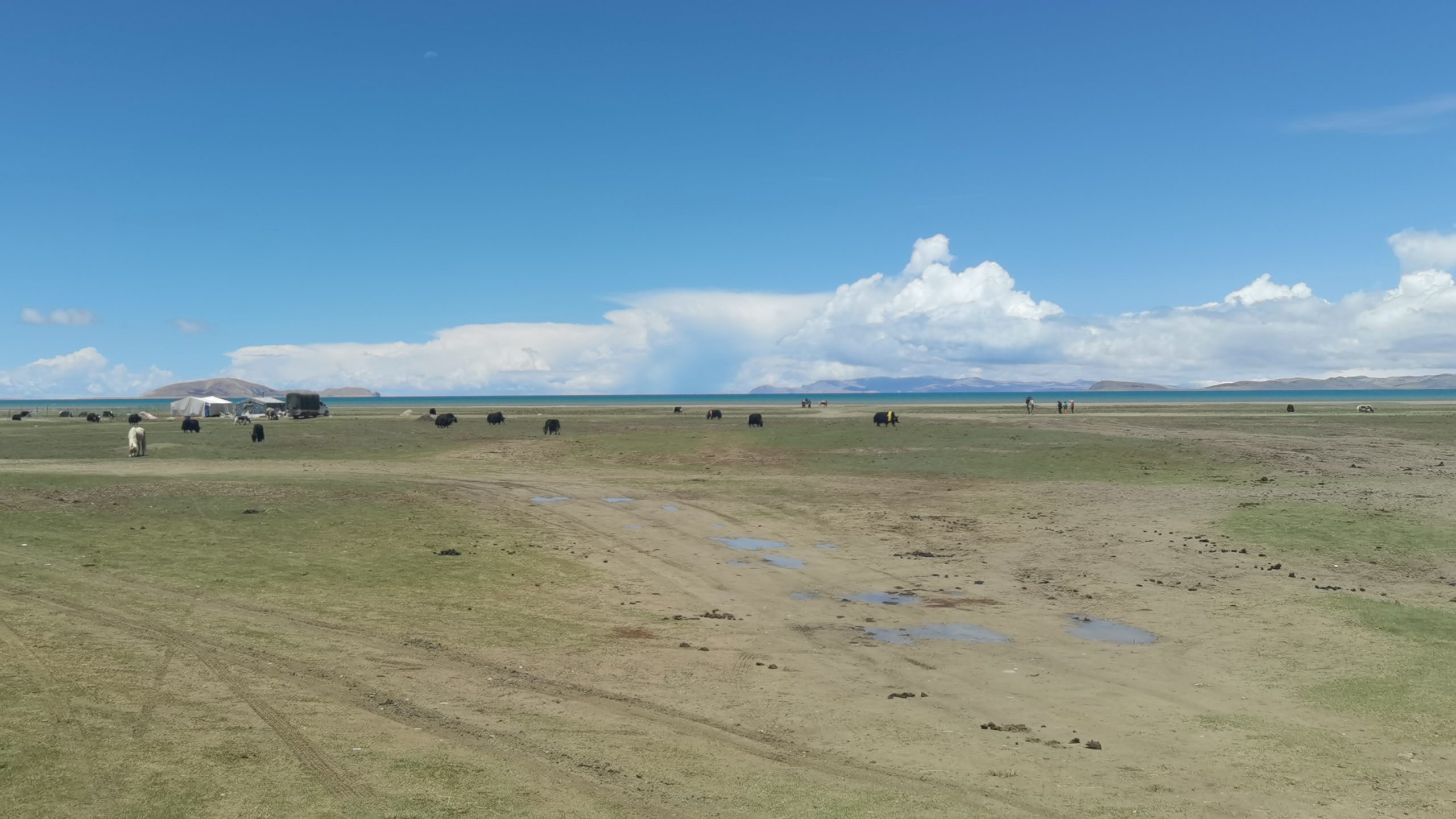 grazing area in Namucuo, in North Tibet