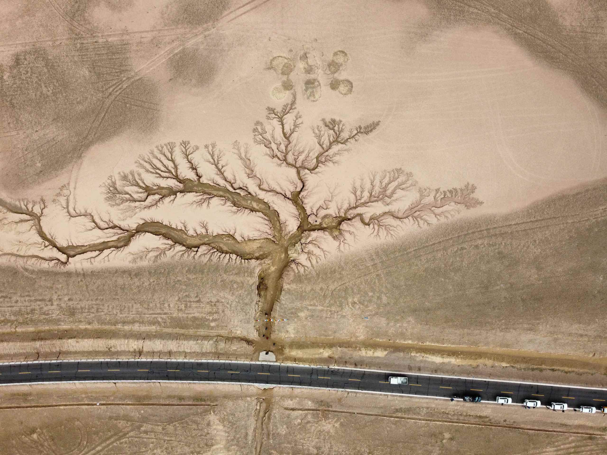 <p>藏北317国道旁的水浸蚀沟痕，网红打卡地“天空之树”。图片来源：杨勇</p>