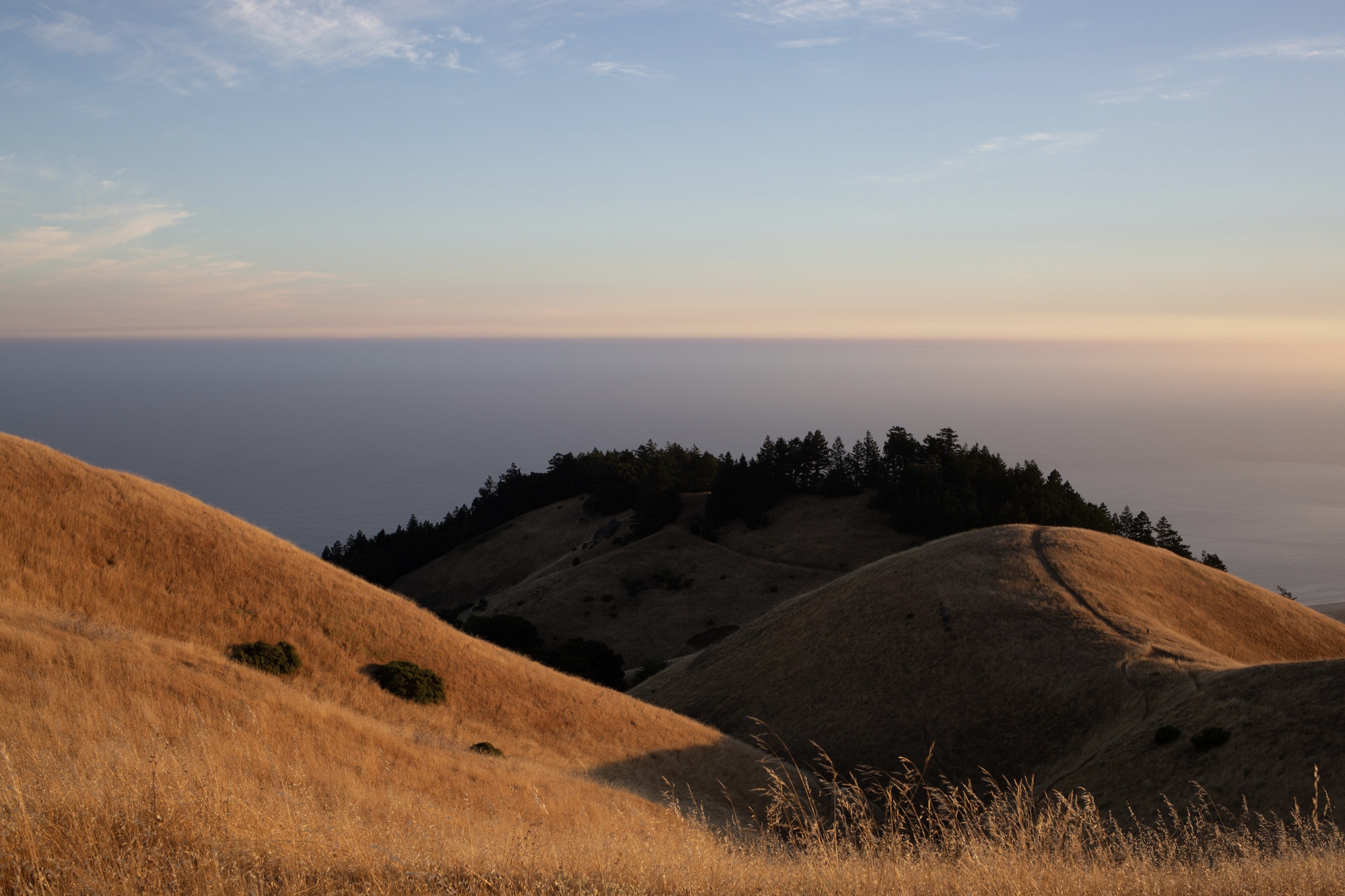 view of a yellow grassy hills and trees, ocean in distance