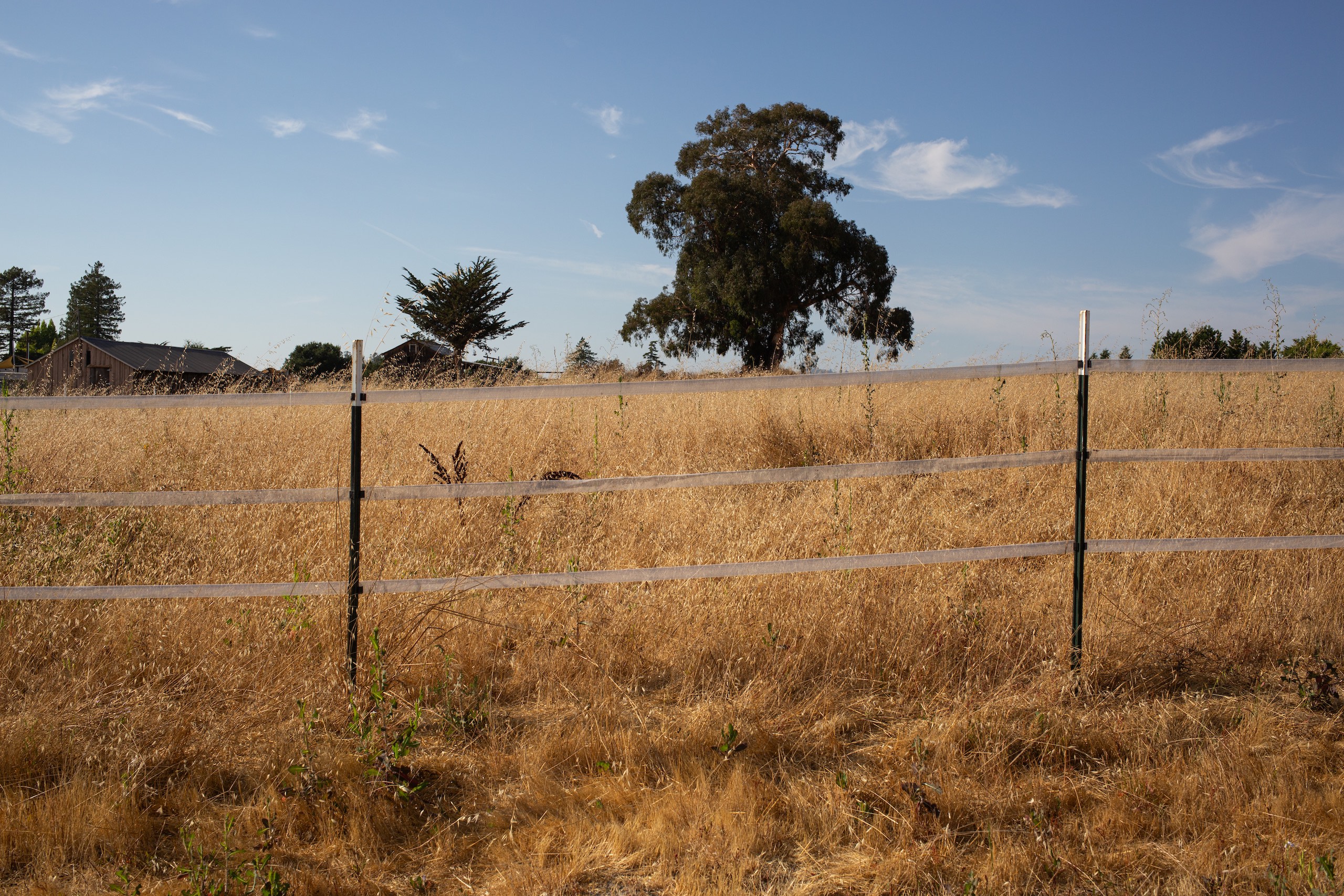 an electric fence in a field of dry grsss