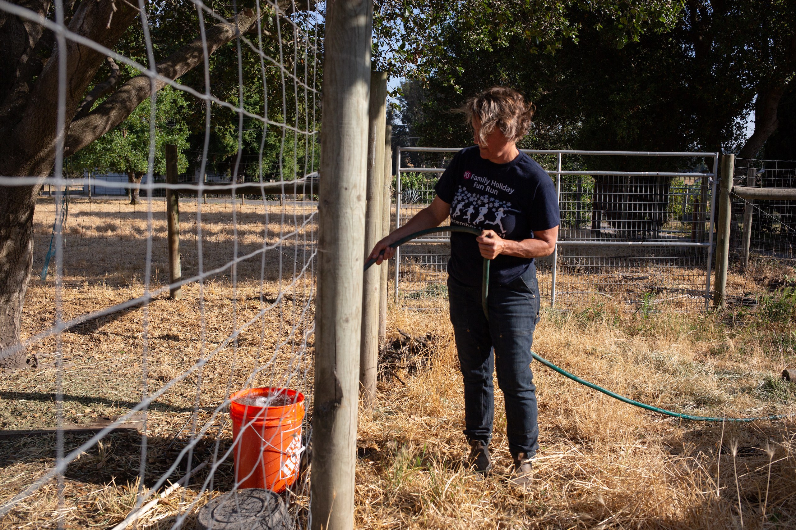 woman fills an orange bucket with water from a hose pipe