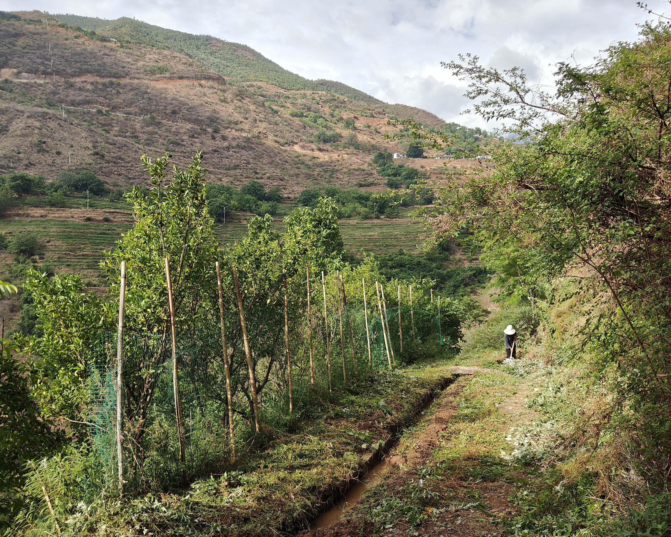 a farmer cleaning the water channels