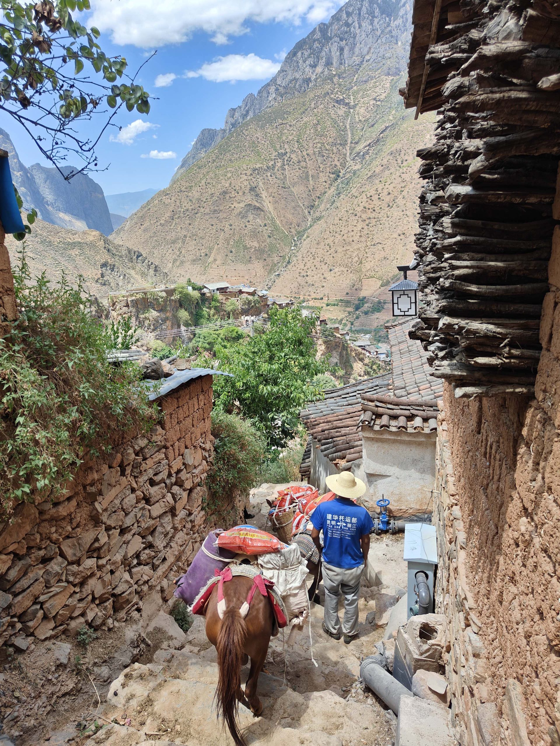 a person walking with a mule down a narrow path