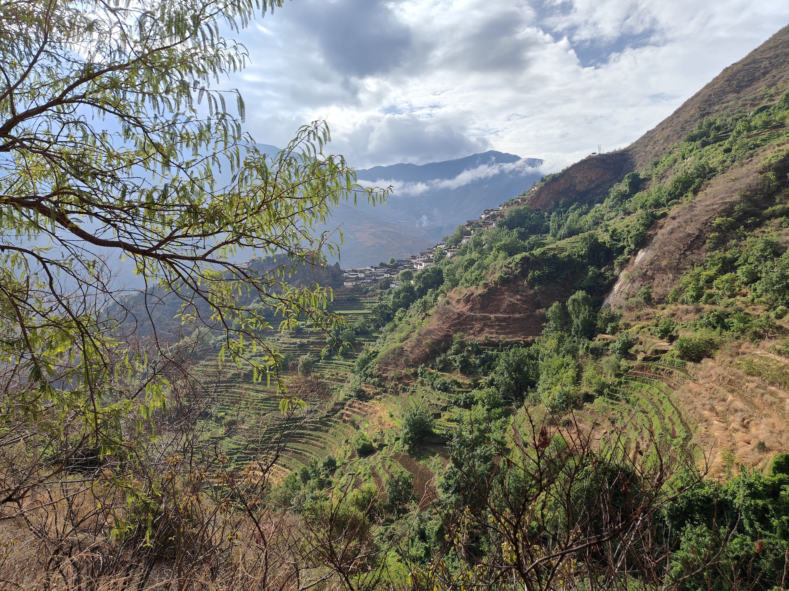 a landscape of terraced fields with trees and a village