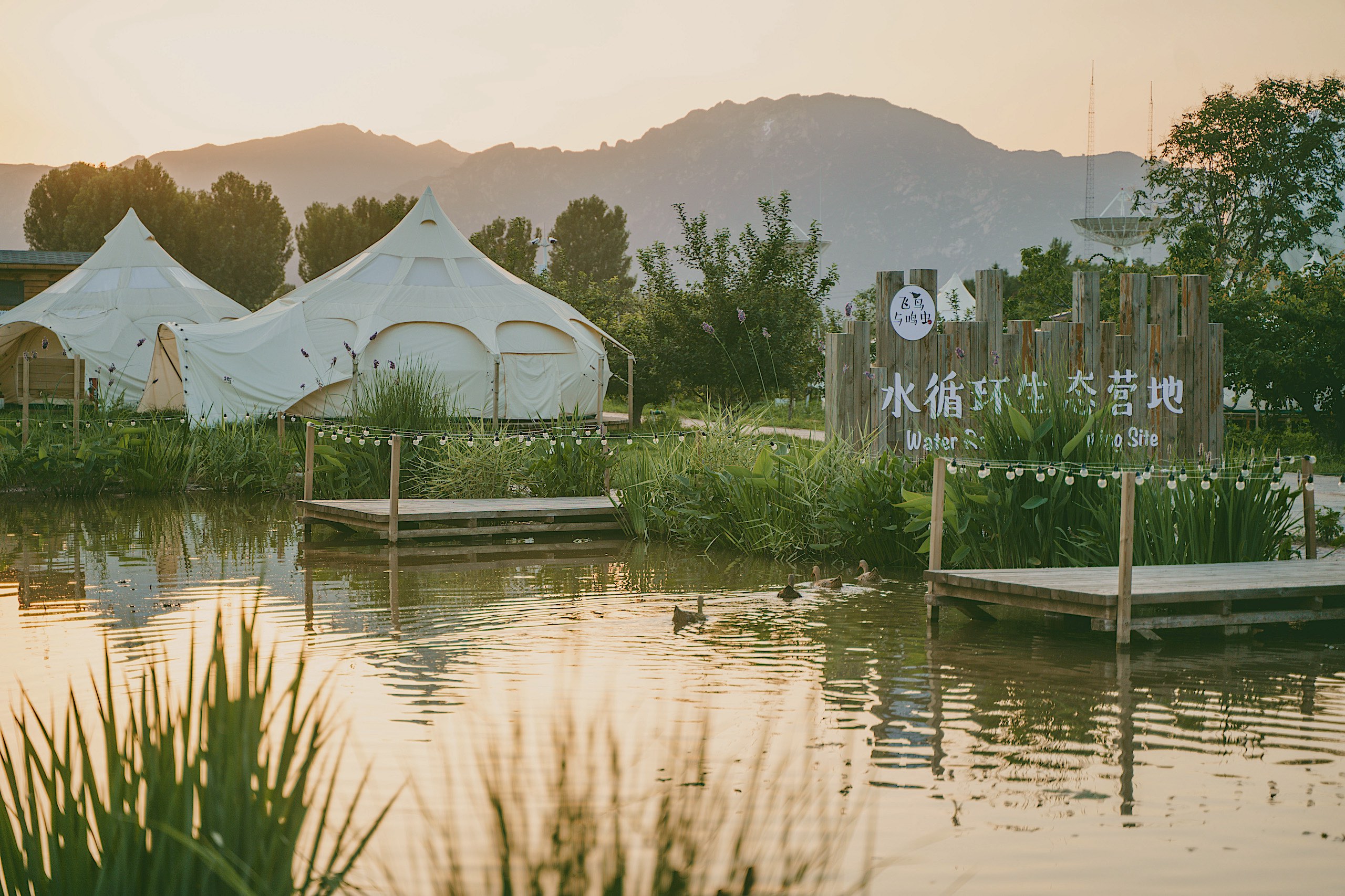 a pond with a white tent and a wooden dock in the background