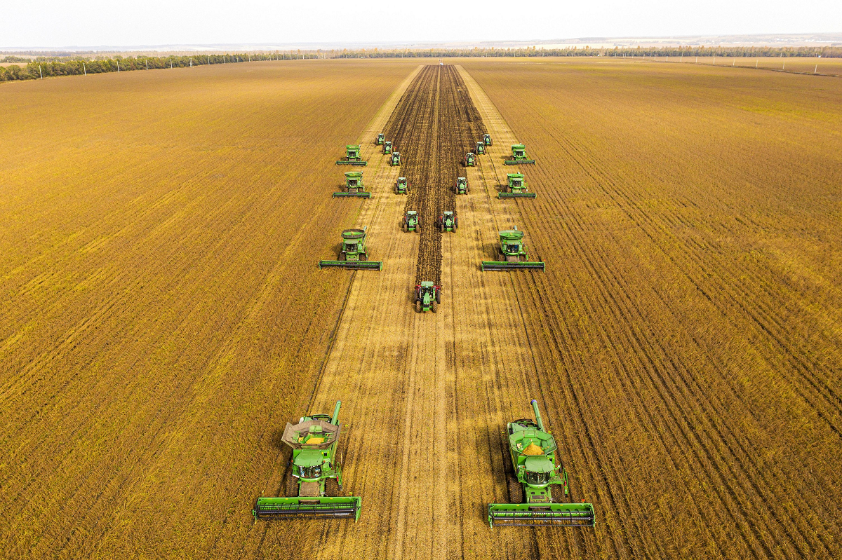 <p>Máquinas cosechadoras de soja en la provincia de Heilongjiang, China. El país planea aumentar la producción nacional de soja y reducir su dependencia a las importaciones (Imagen: Alamy)</p>