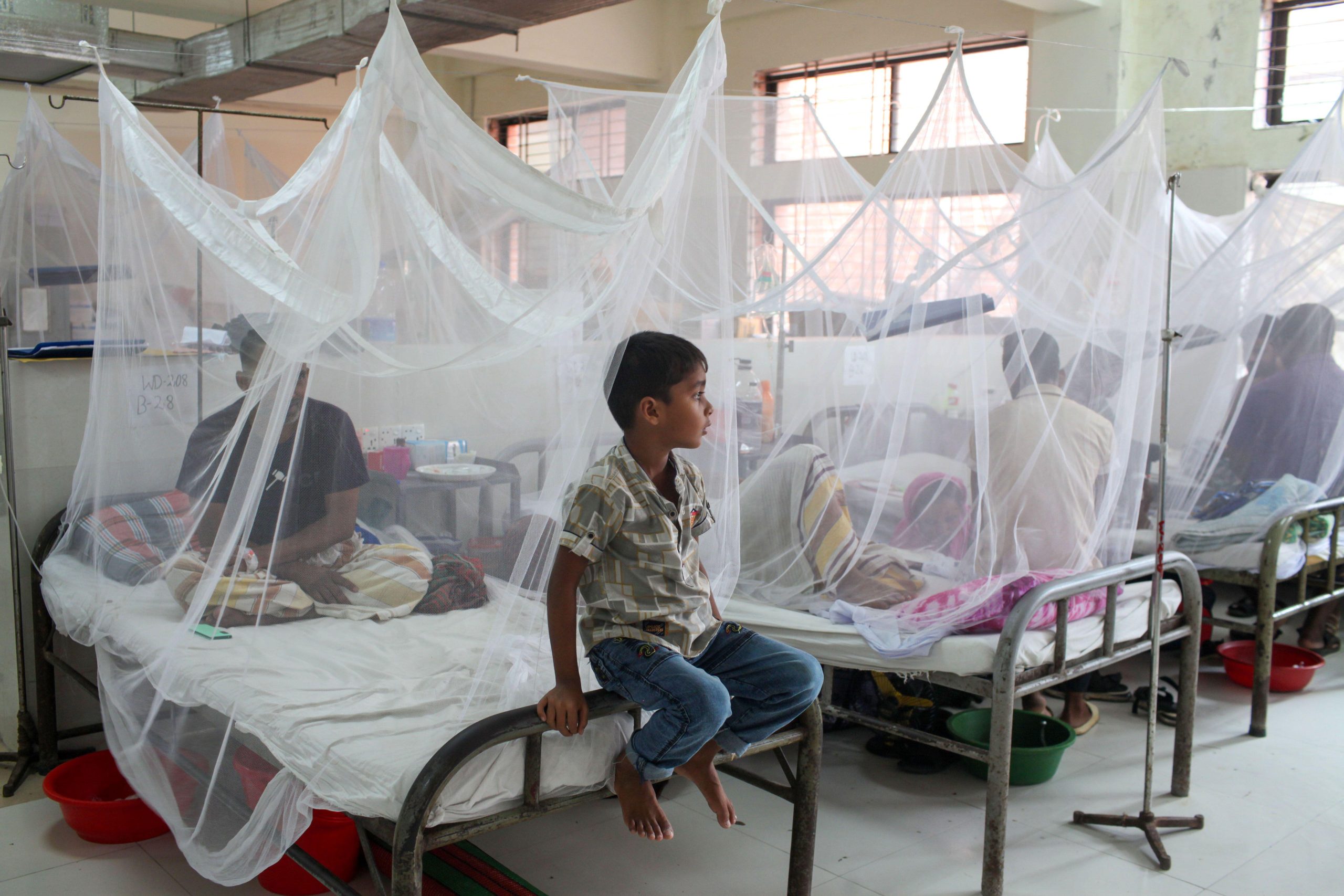 As dengue cases break records, Bangladesh struggles to cope
