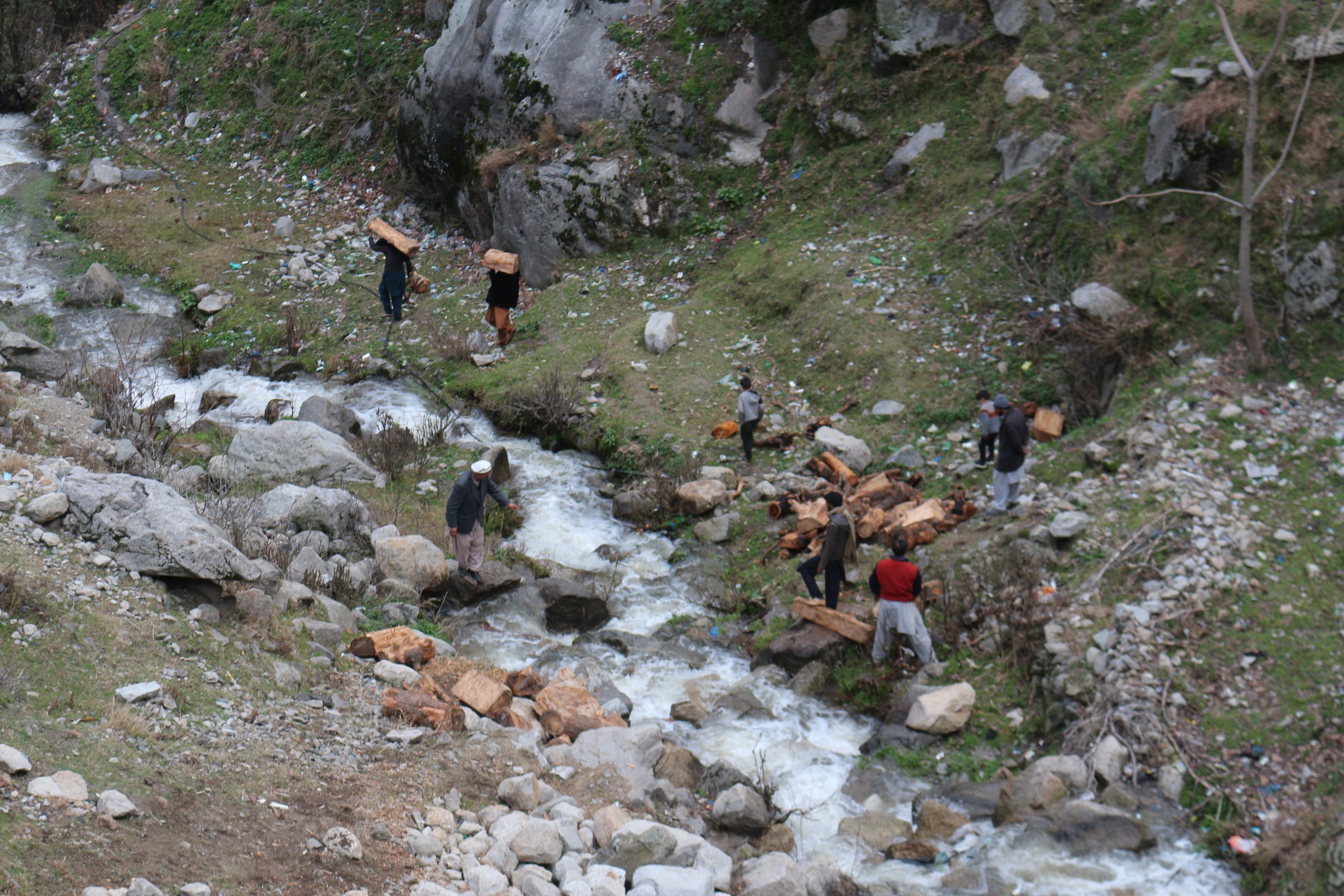 people carrying wood across stream