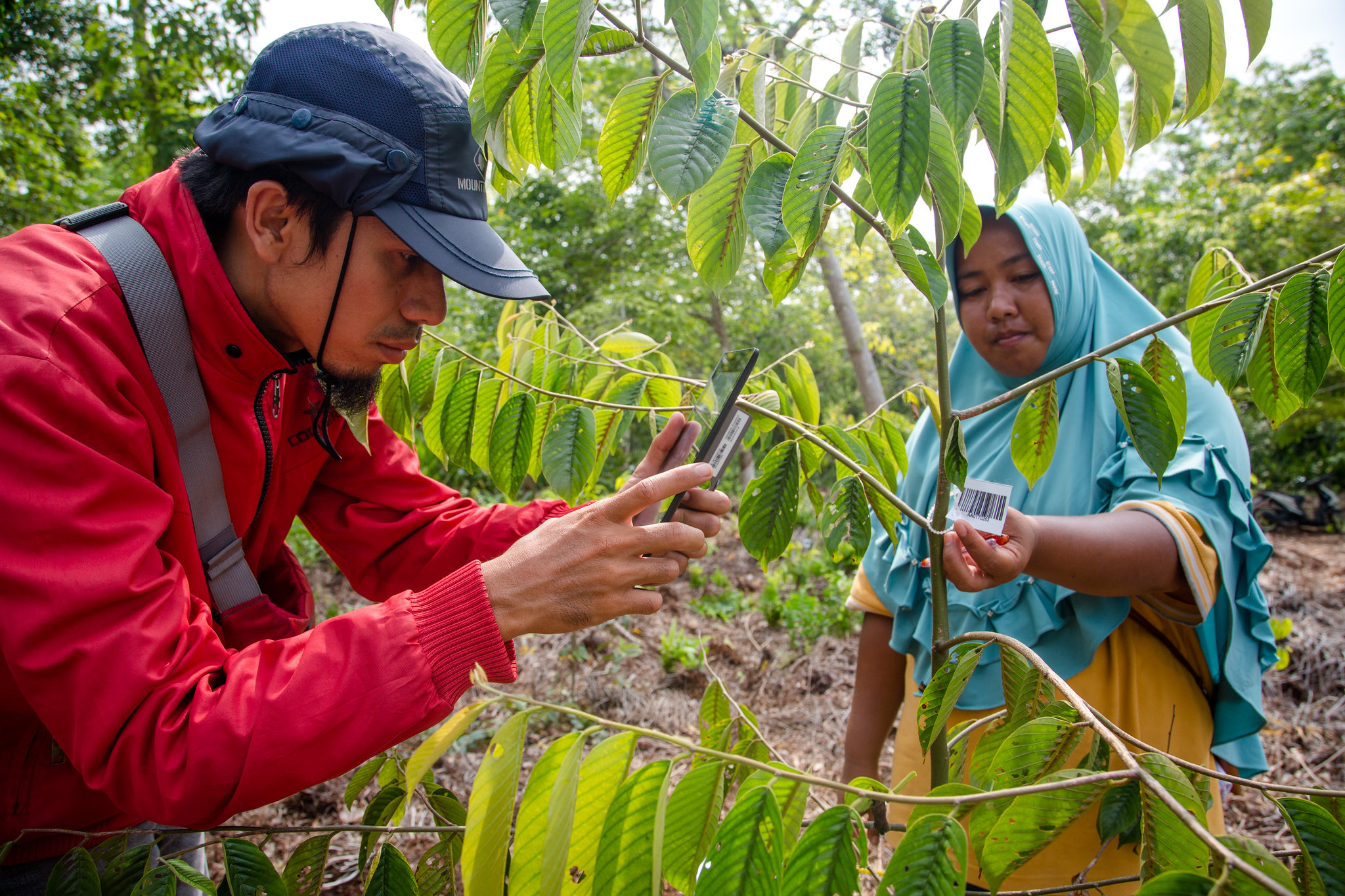 Man in red using a mobile phone to take a photograph of a barcode on a tree sapling, woman in blue holding the label