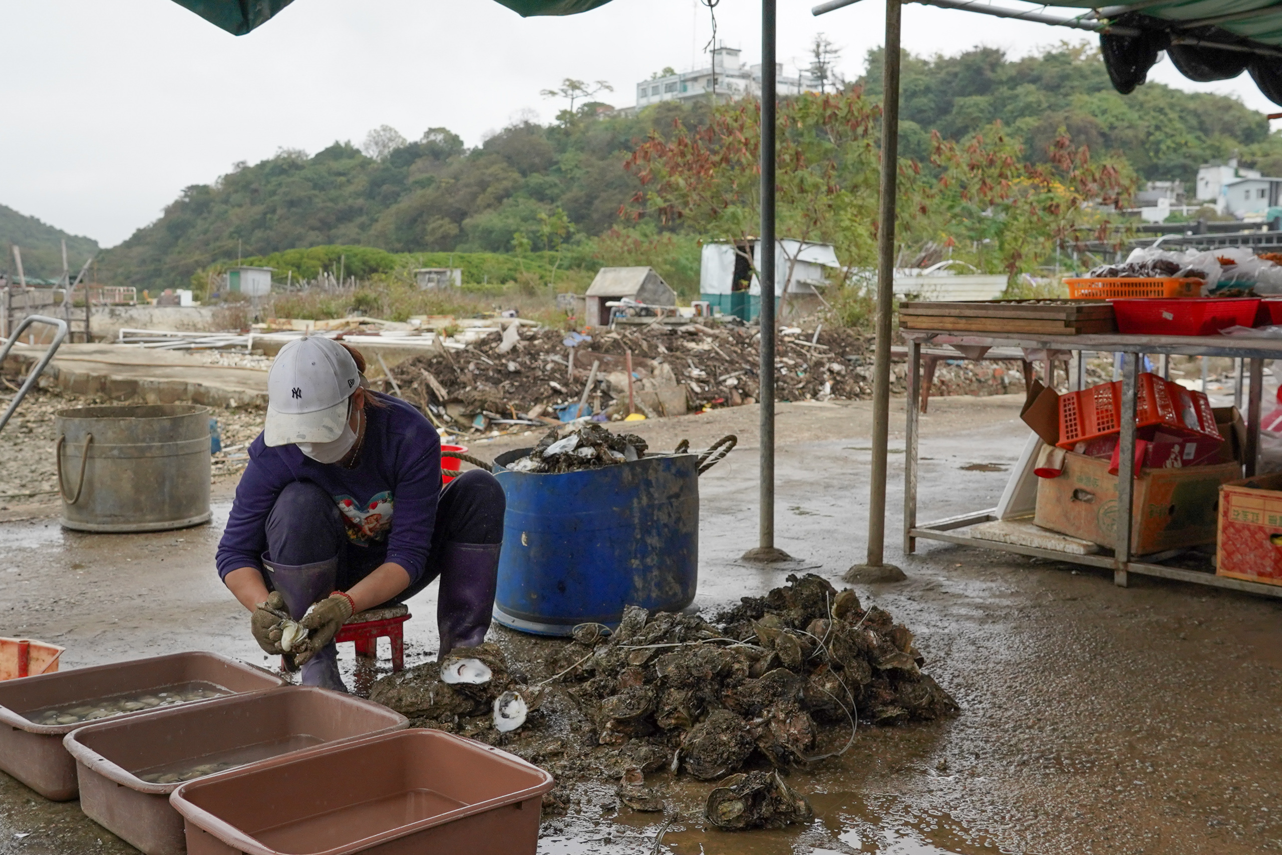 A woman sat on a low stool next to a pile of oysters