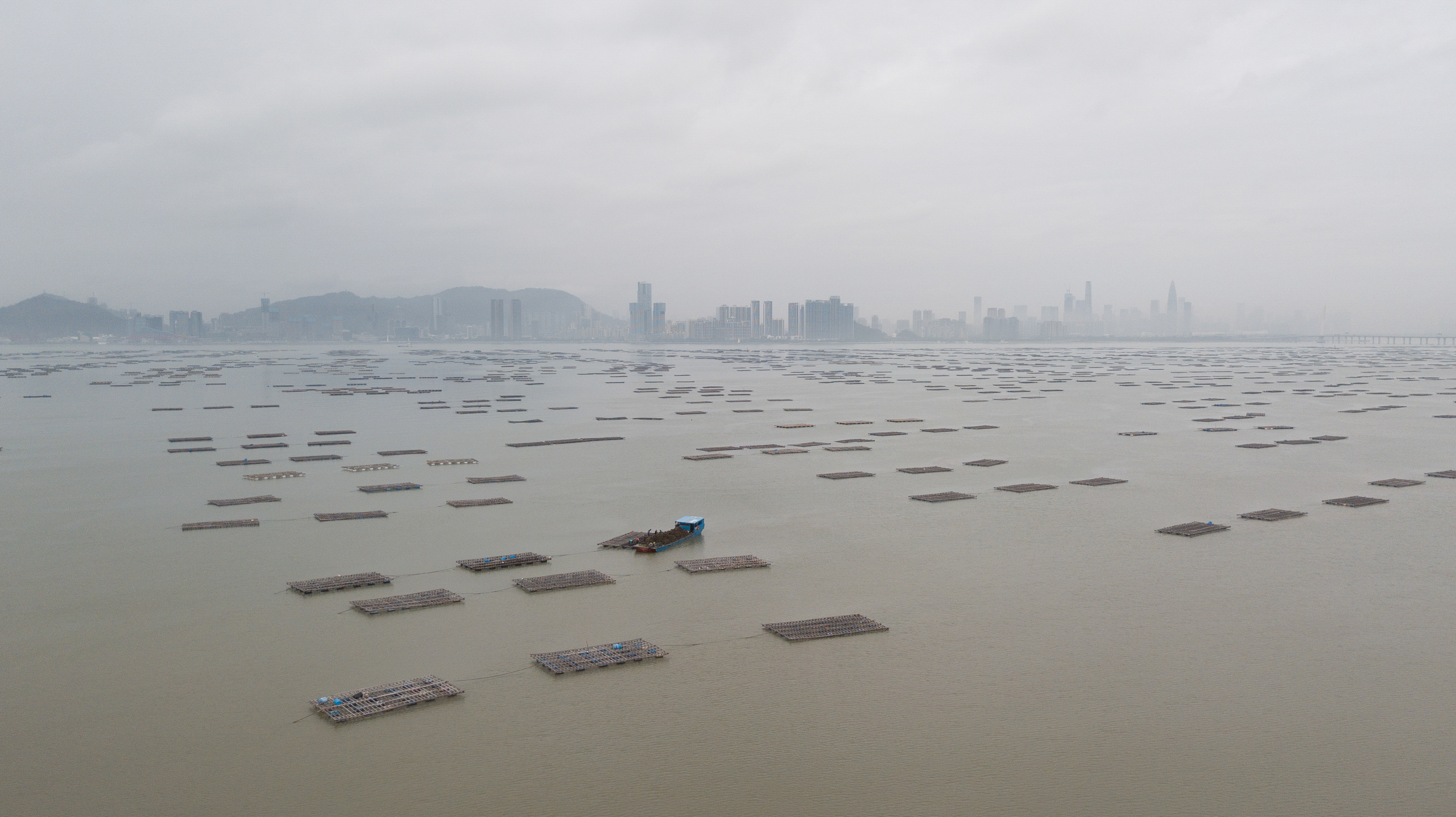 Aerial view of a misty bay dotted with square rafts, cityscape in distance