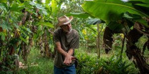 <p>Farmer Dercílio Pupin explains the agroforestry methods he has used since 2013 to restore degraded soils on his land in Piracaia, São Paulo state, Brazil (Image: Lucas Ninno / Diálogo Chino)</p>