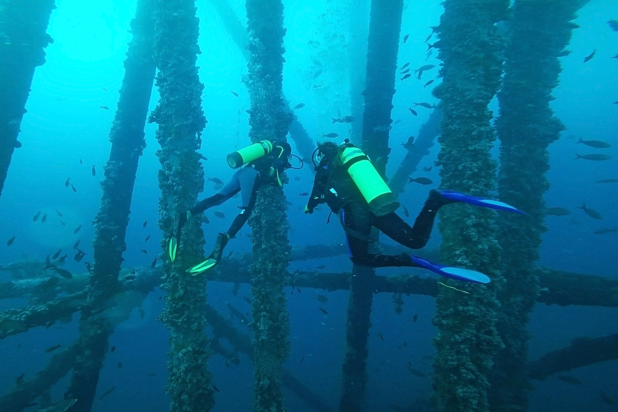 two divers near underwater manmade structure 