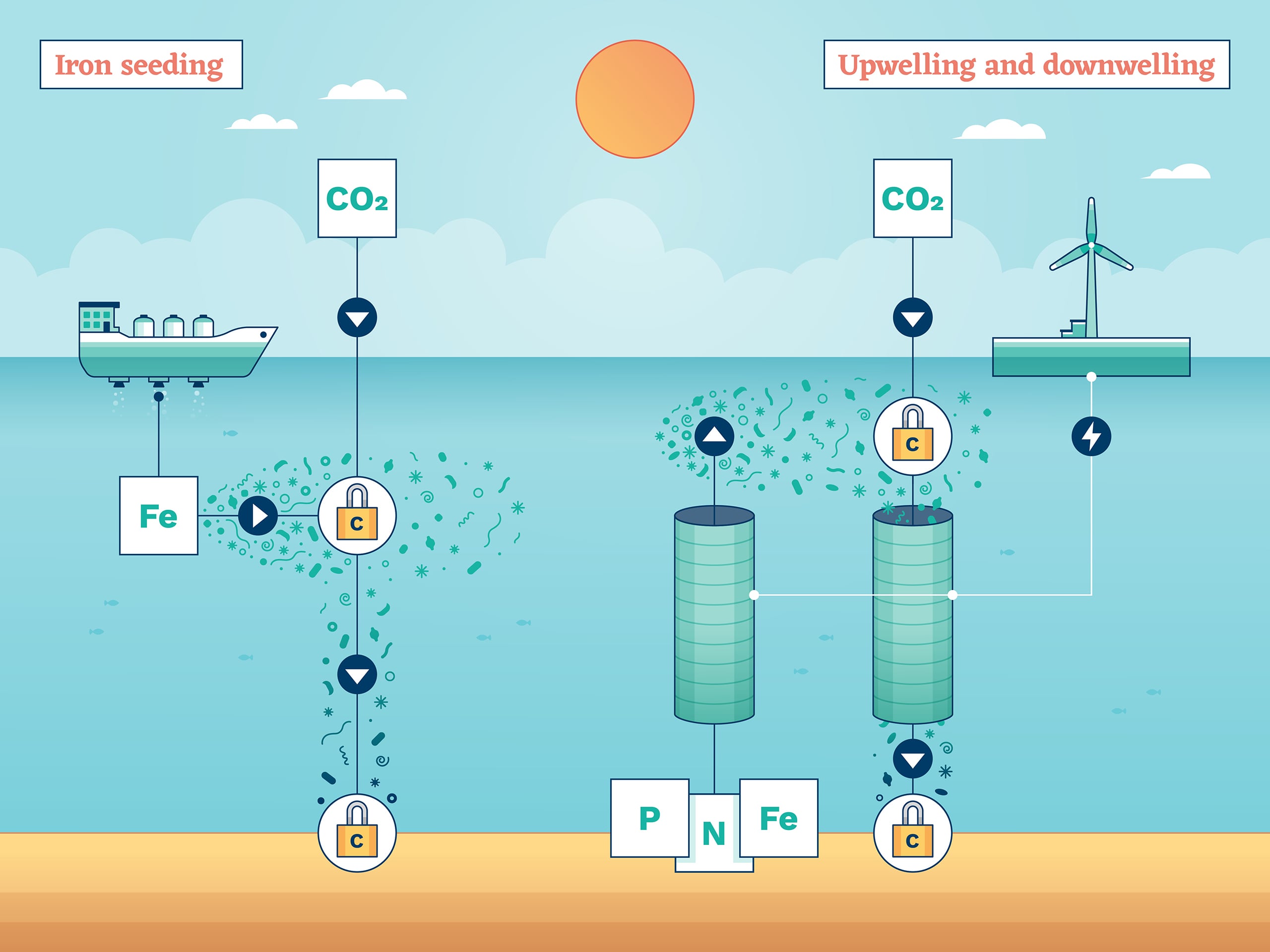 Diagram showing a cross section of the ocean, with a boat and wind turbine on the water surface, small creatures and pipes underwater