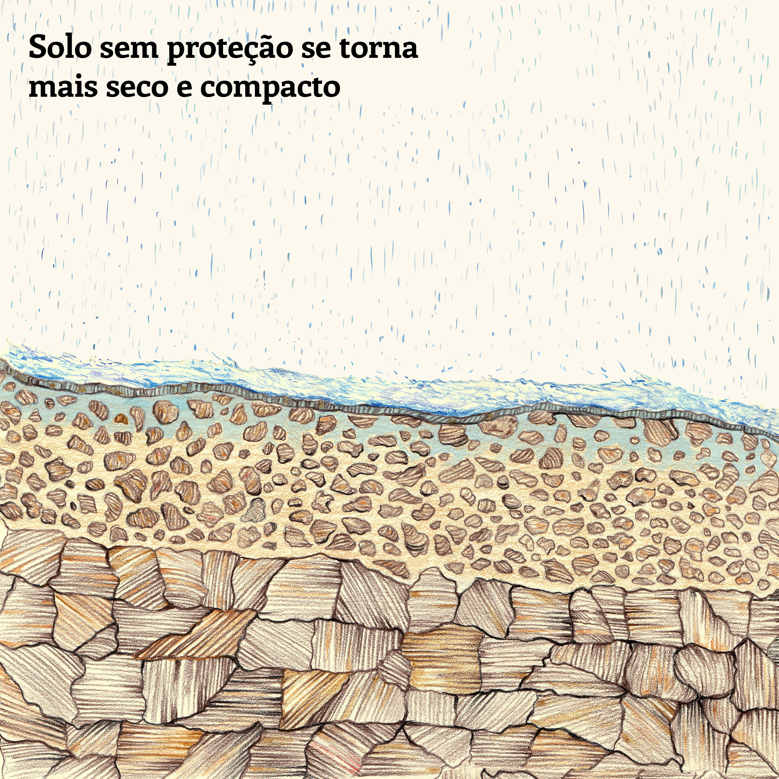 Os anos de seca compactaram o solo, repelindo a água e favorecendo às inundações nas épocas de chuva