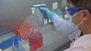 A person in a lab coat and gloves filling a pipette from a container of pink liquid.