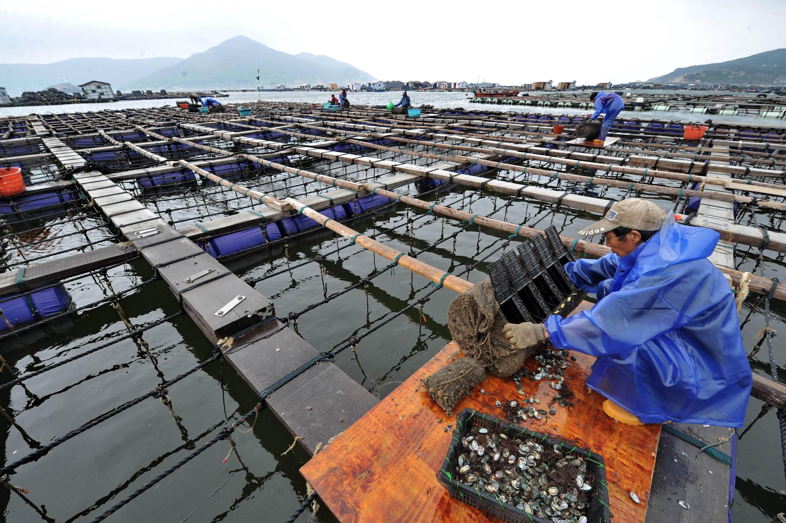 a group of people working in a farm