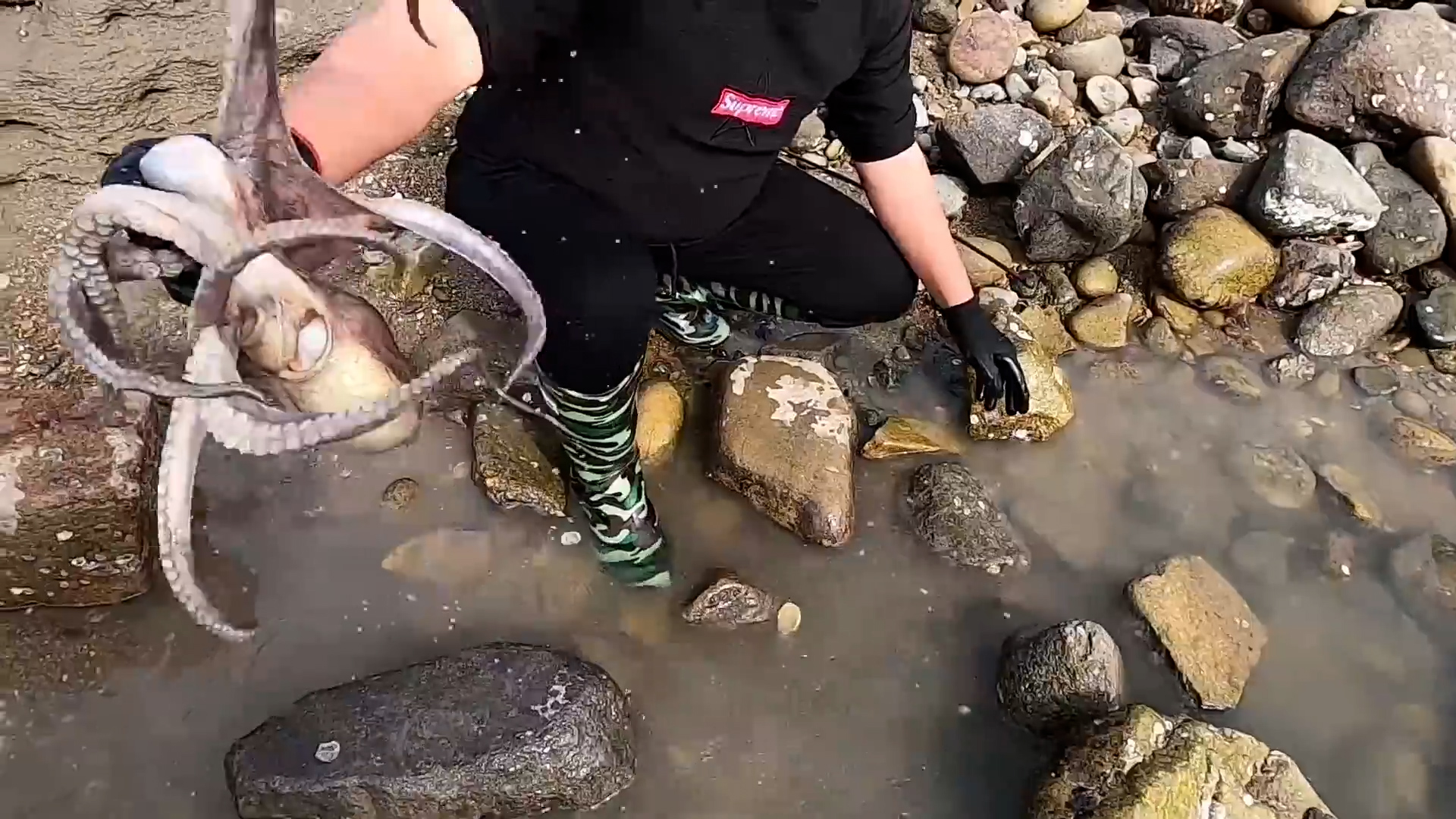 a man holds an octopus