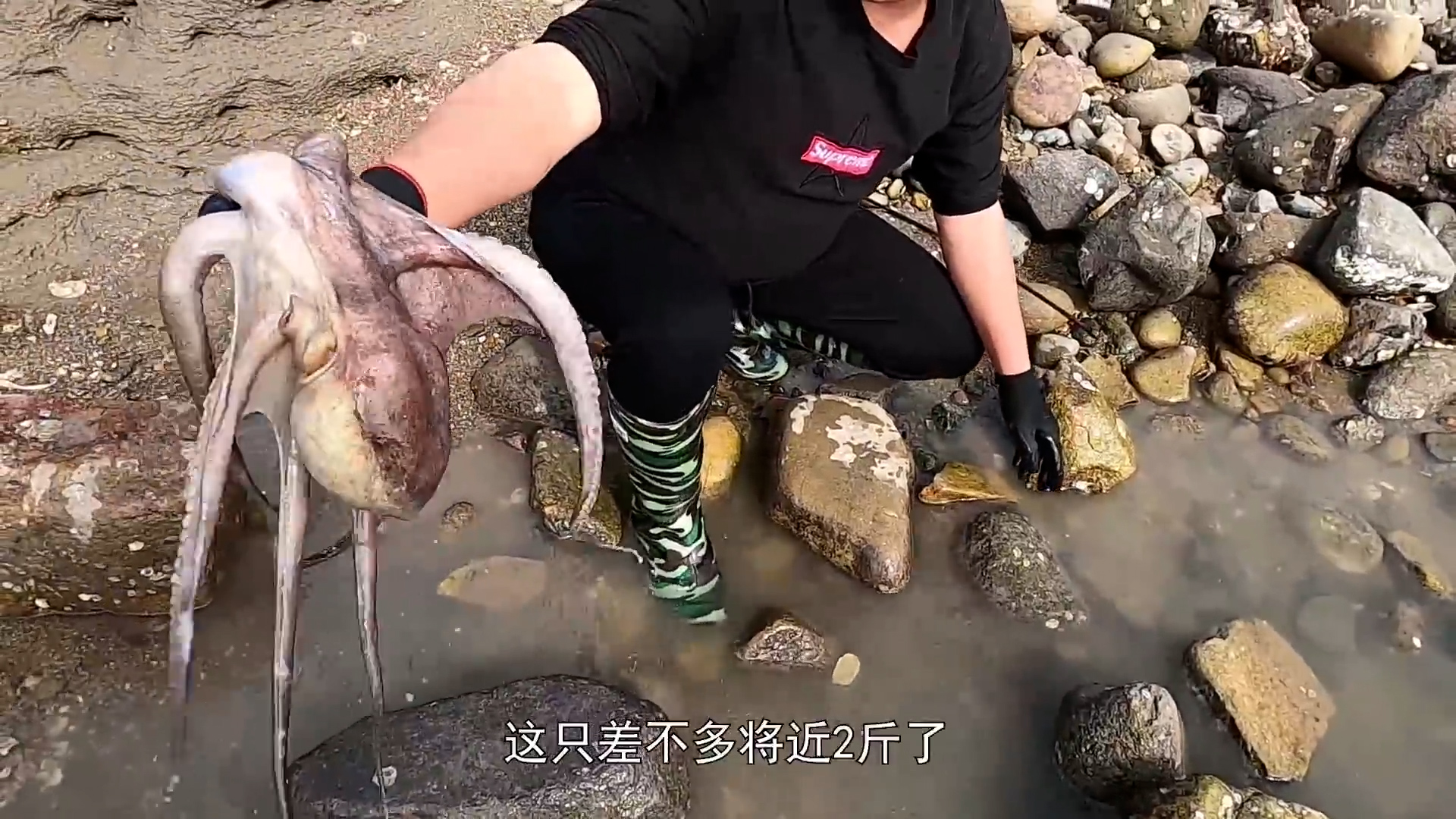 a man holds an octopus