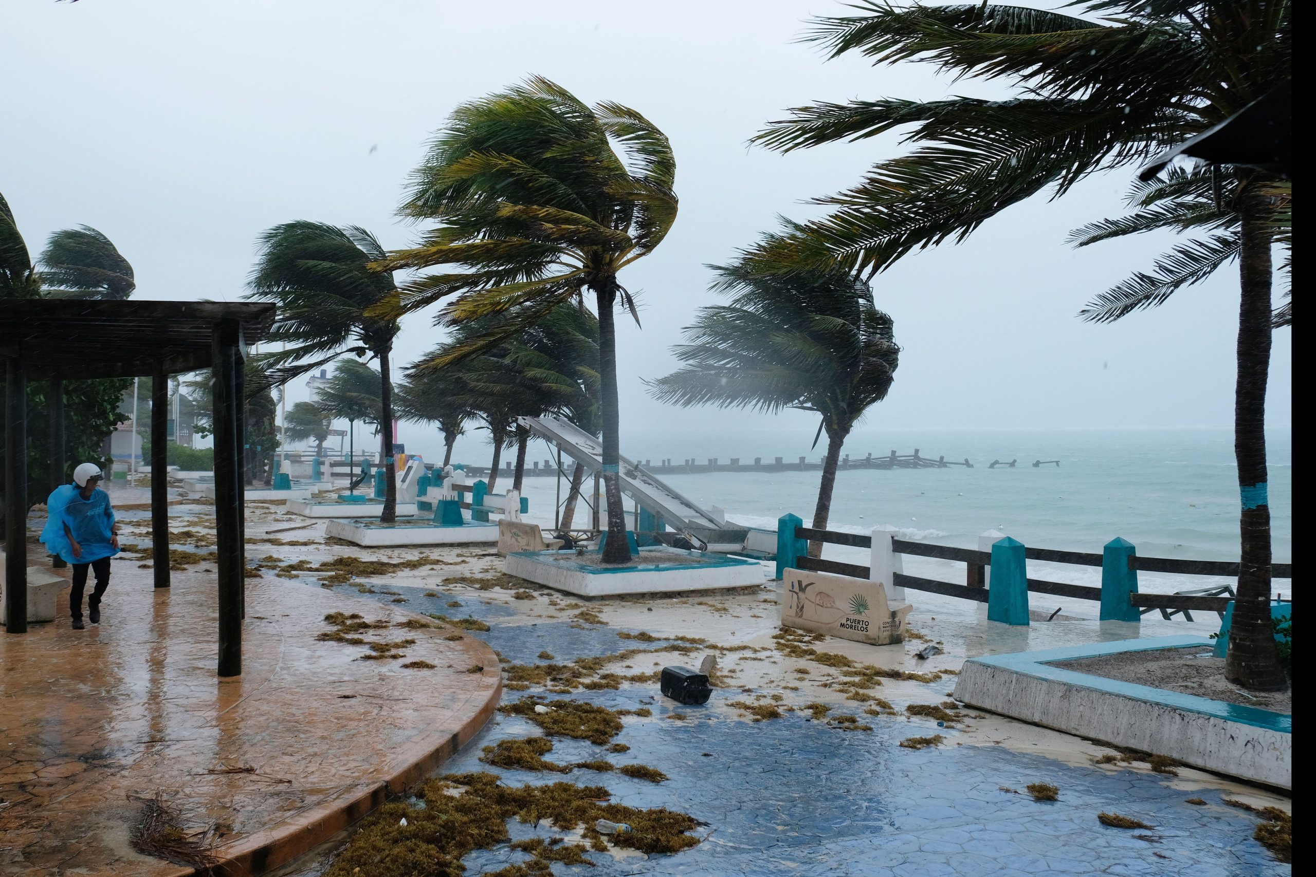 strong winds blowing palm trees and litter on walkway near beach
