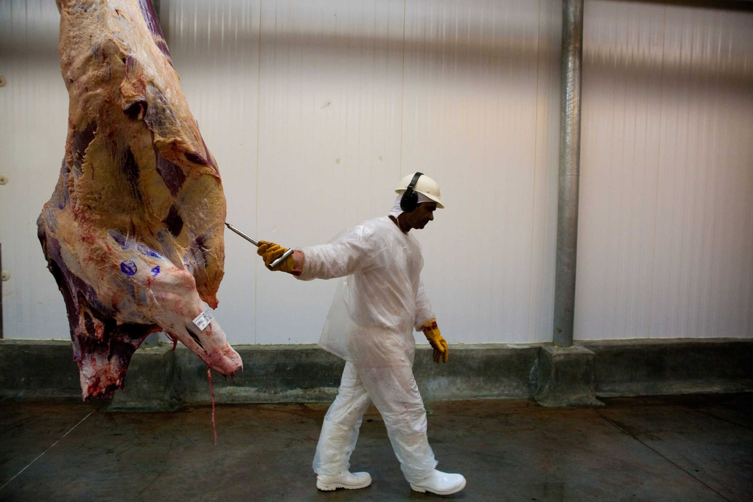 man walking near bloody hanging carcass