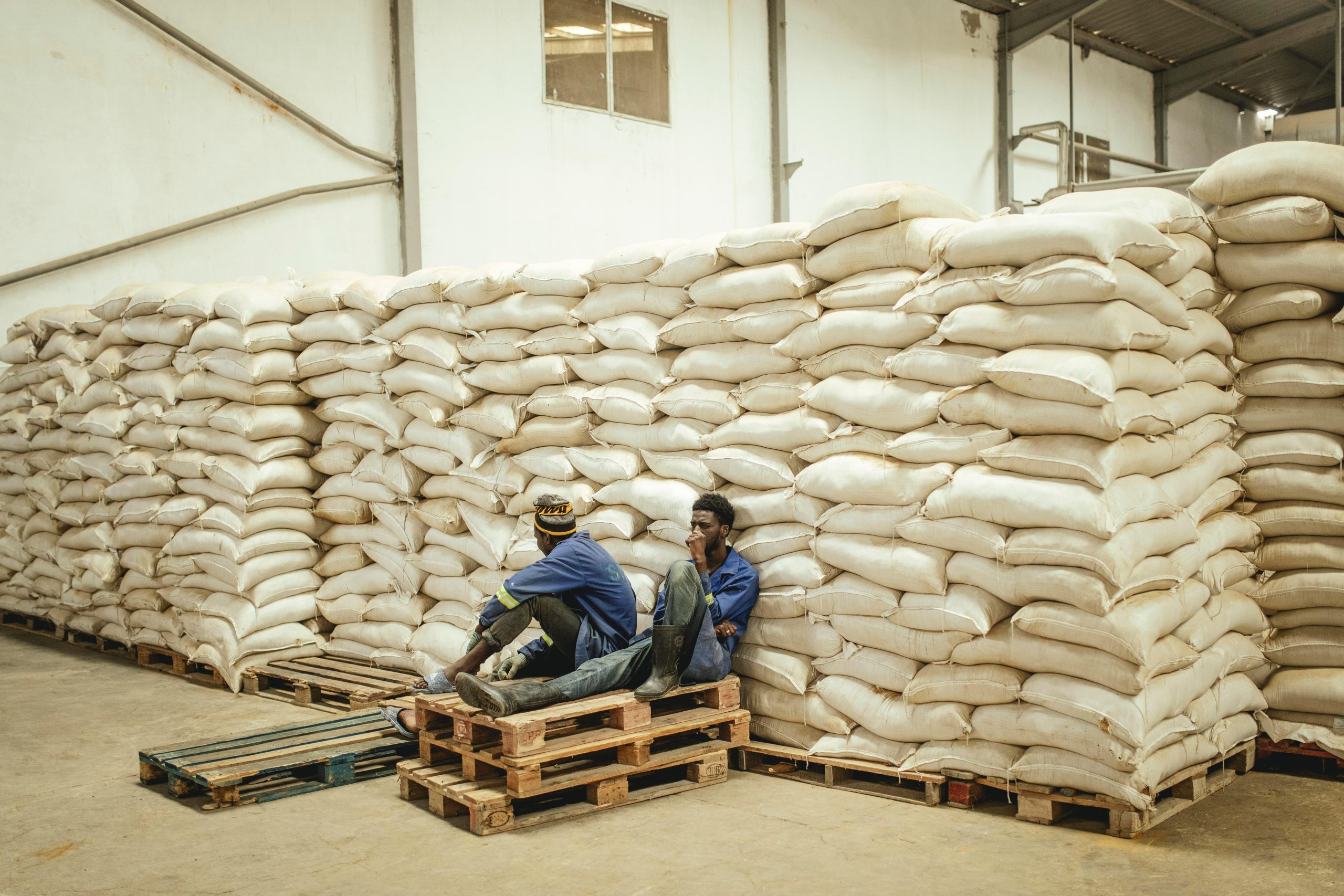 two men sitting on floor in front of stacks of burlap sacks filling a room