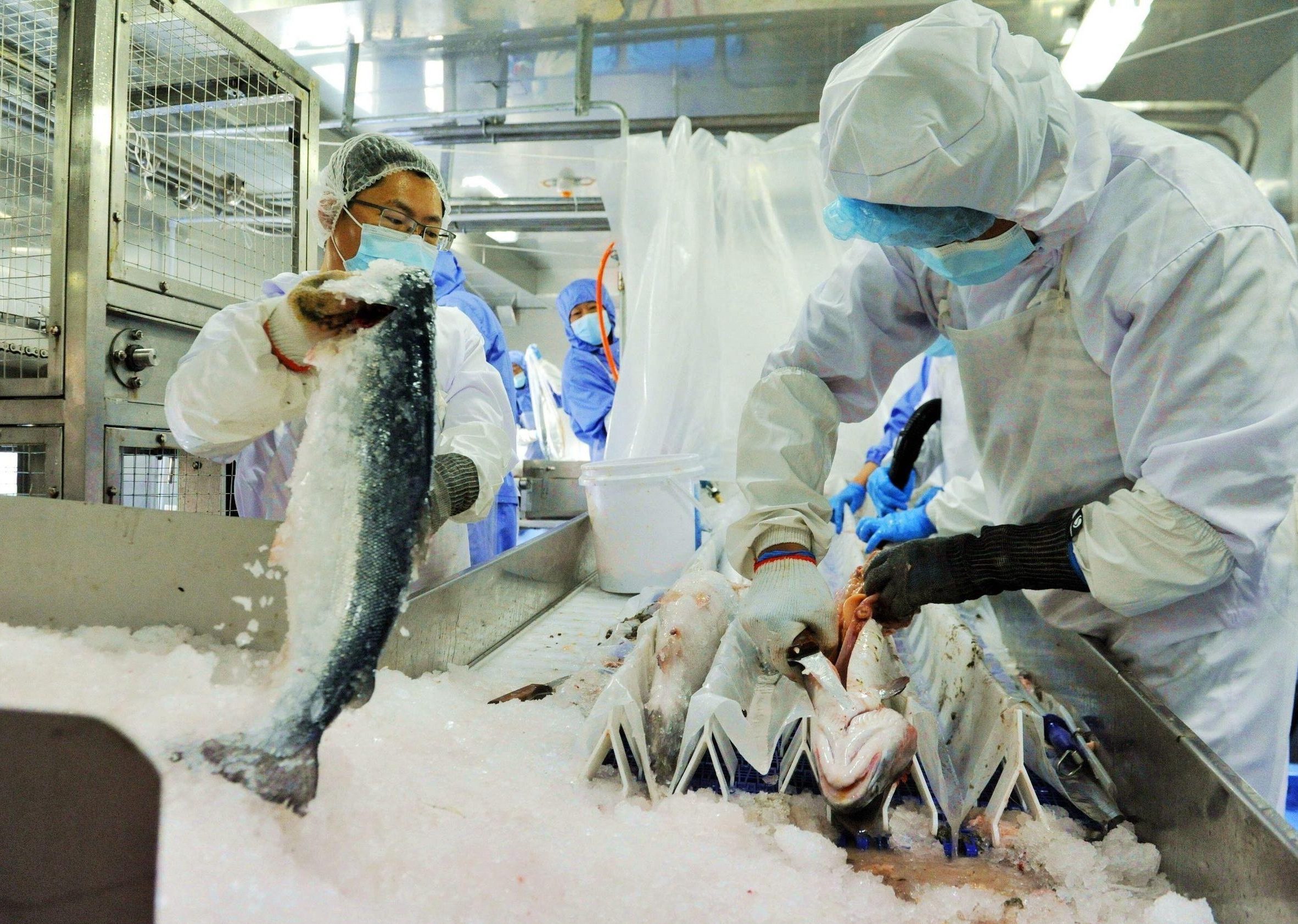 a group of people in gear working in a fish workshop