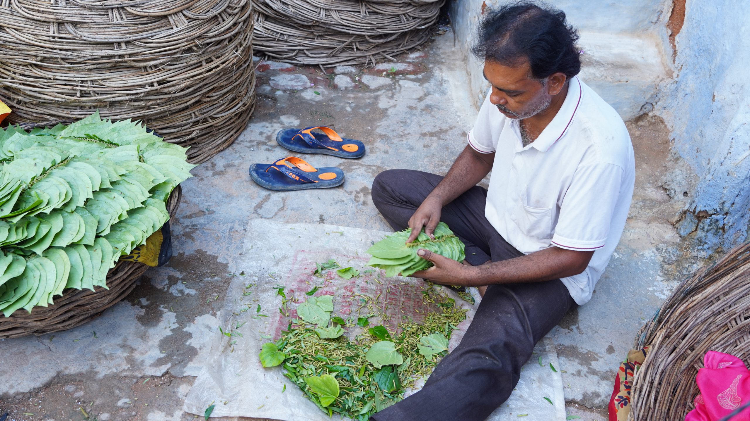 man sitting on concrete ground with whole and shredded betel leaves