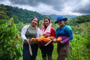 <p>Mujeres producen cacao en San José de León, provincia de Antioquia, Colombia, en el marco de un proyecto de reinserción de antiguos guerrilleros a la vida civil. En un país donde las exportaciones de petróleo y el tráfico de cocaína representan casi el 10% del PIB, se han hecho esfuerzos para impulsar la bioeconomía (Imagen: <a href="https://flic.kr/p/2o9JjnK">Pedro Pio</a> / <a href="https://flickr.com/people/unwomen/">UN Women</a>, <a href="https://creativecommons.org/licenses/by-nc-nd/2.0/">CC BY-NC-ND</a>)</p>
