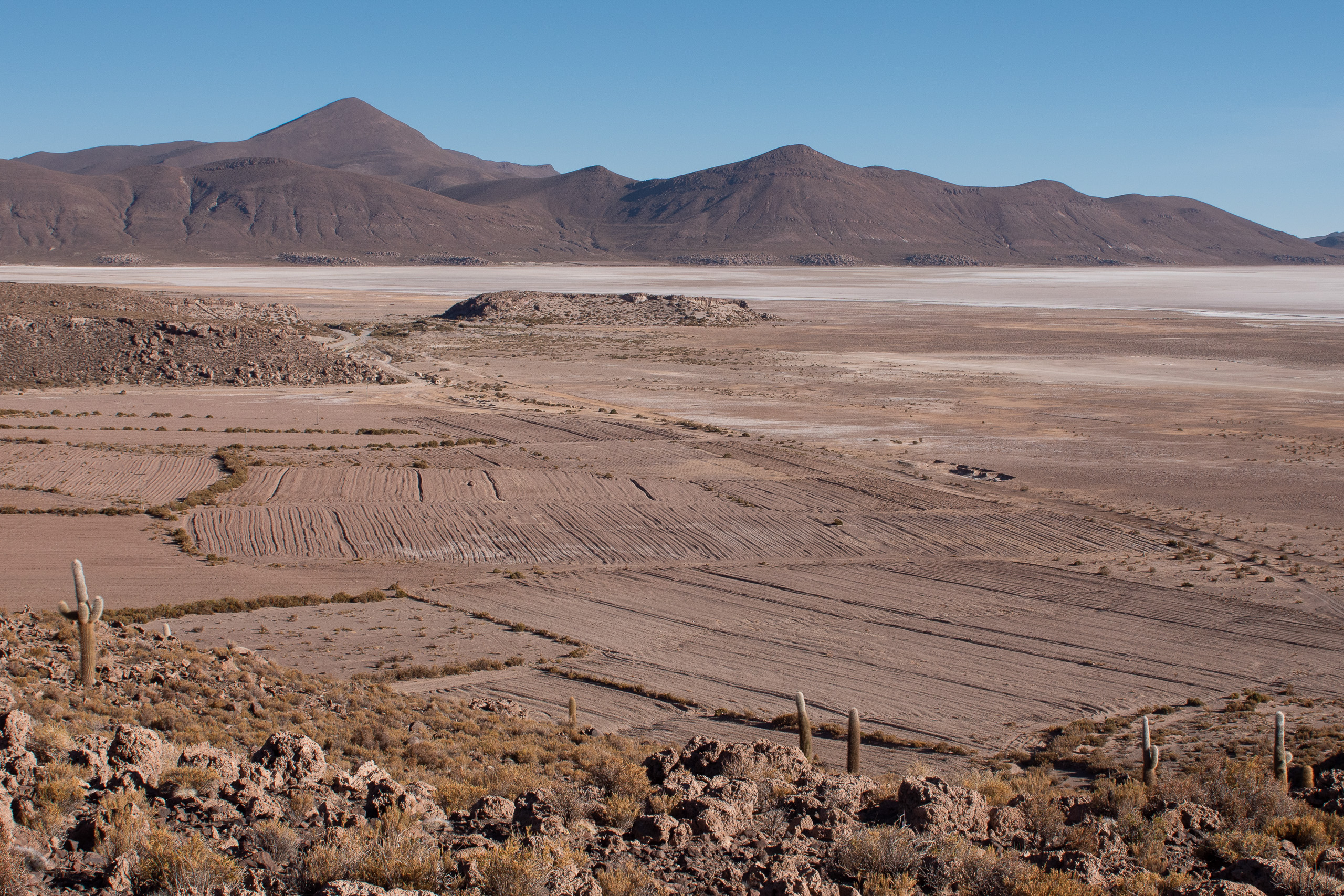 Campos na fronteira do Salar de Uyuni