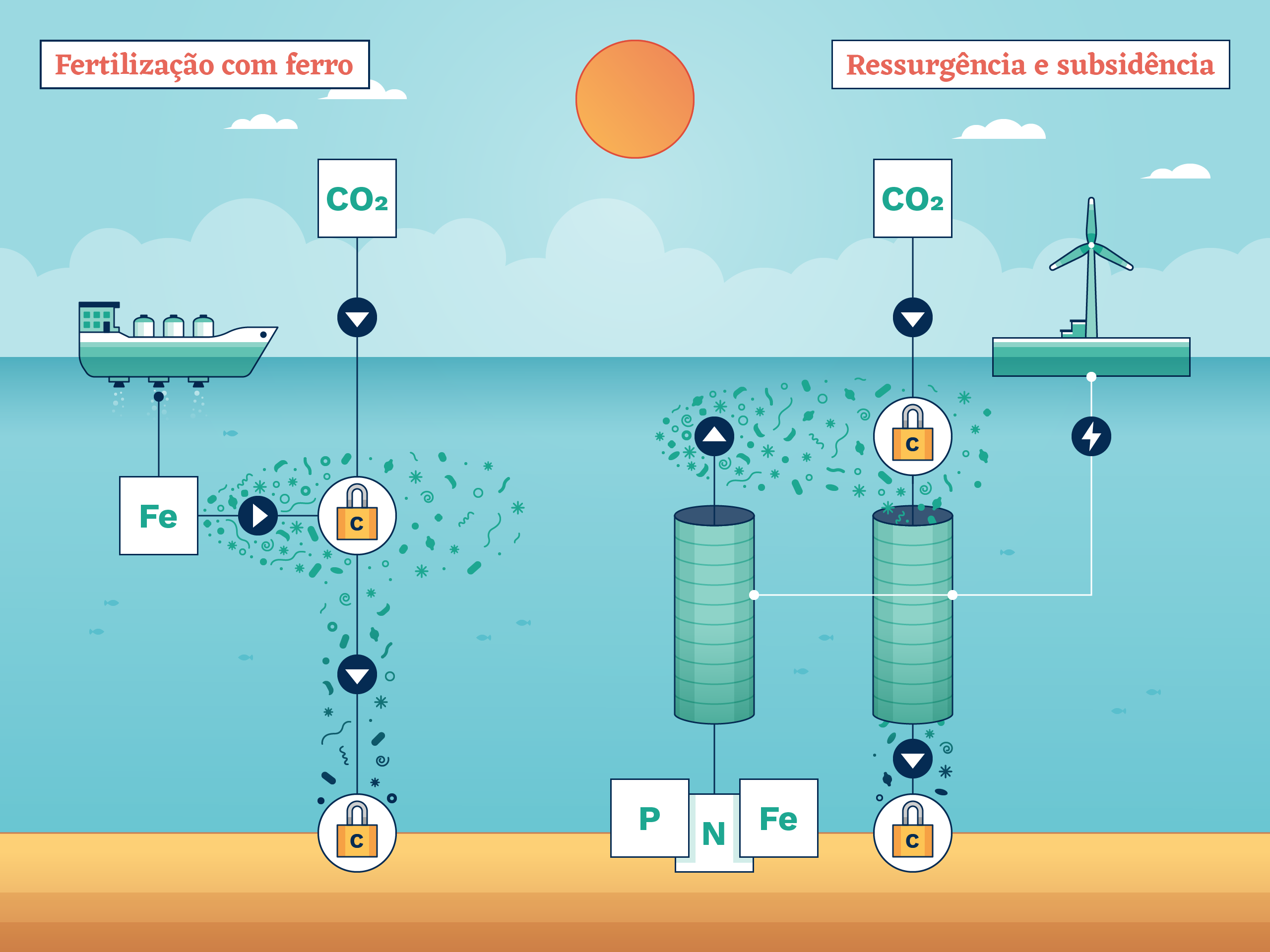 A fertilização com ferro alimenta os fitoplânctons, que capturam CO₂ à medida que crescem. Quando morrem, os organismos levam o carbono até o fundo do oceano