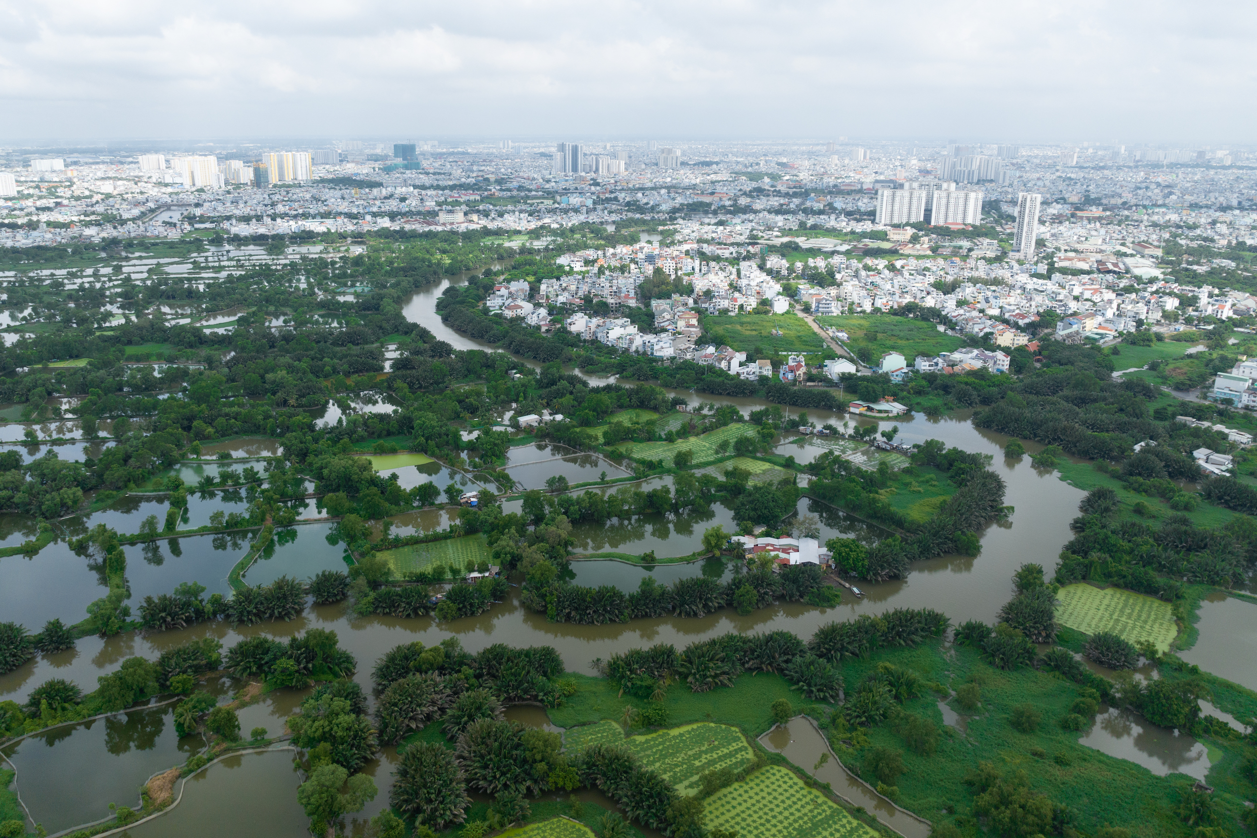 Aerial view of a green marshy area of a city