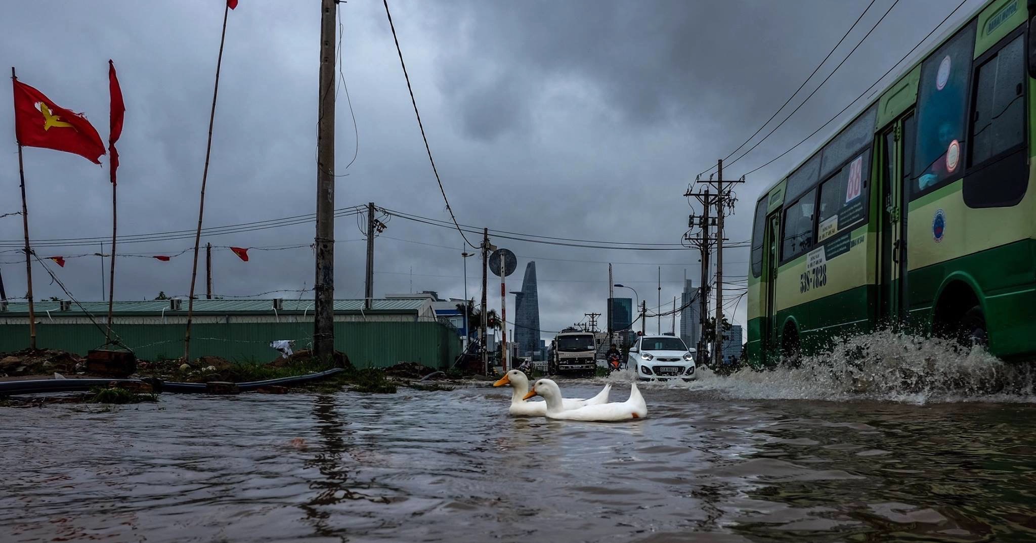 Two white ducks swim across floodwater in a city street, dark clouds overhead