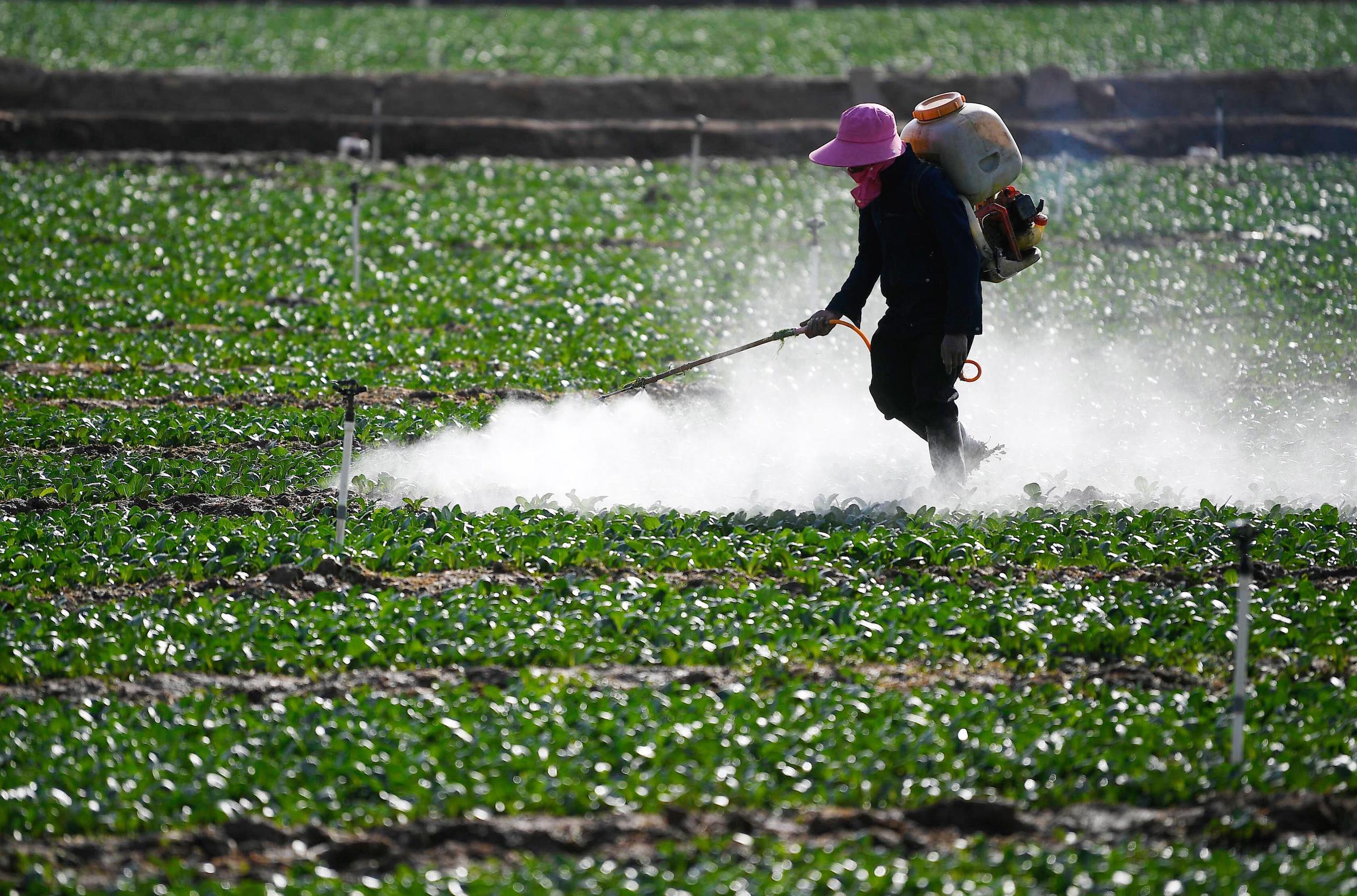 A farmer spraying pesticide on crops