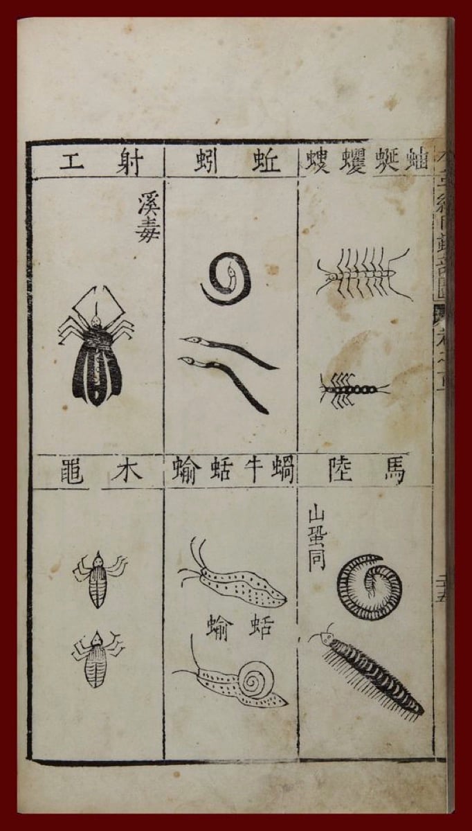 A scanned image of an old paper diagram showing insects and Chinese writing