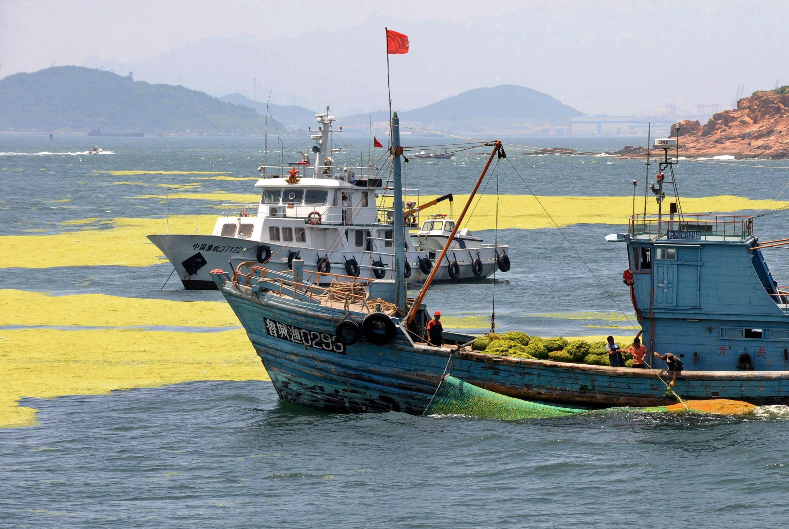 People on ship removing green algae from surface of water.